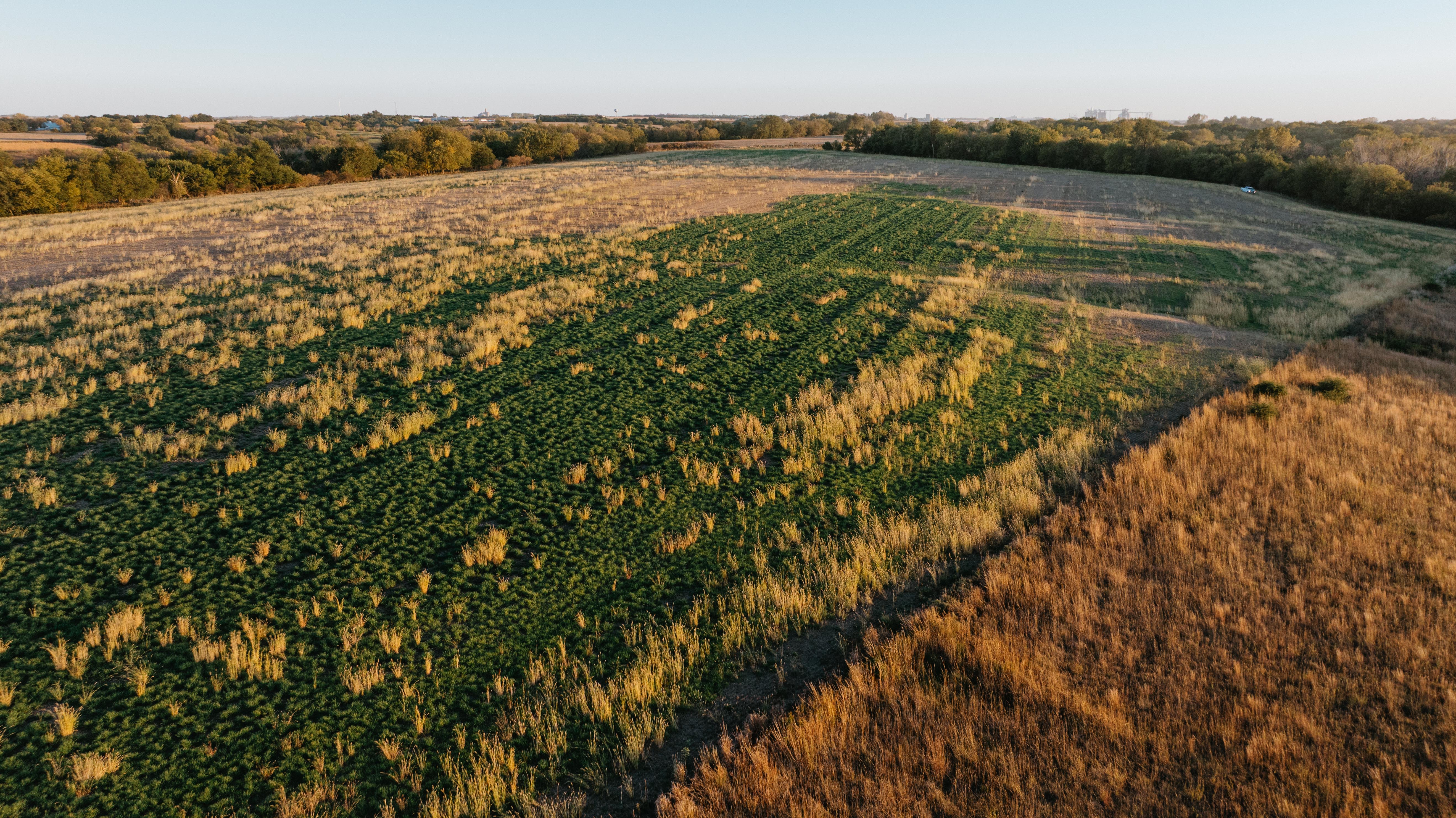 David City, NE 68632 - image 47