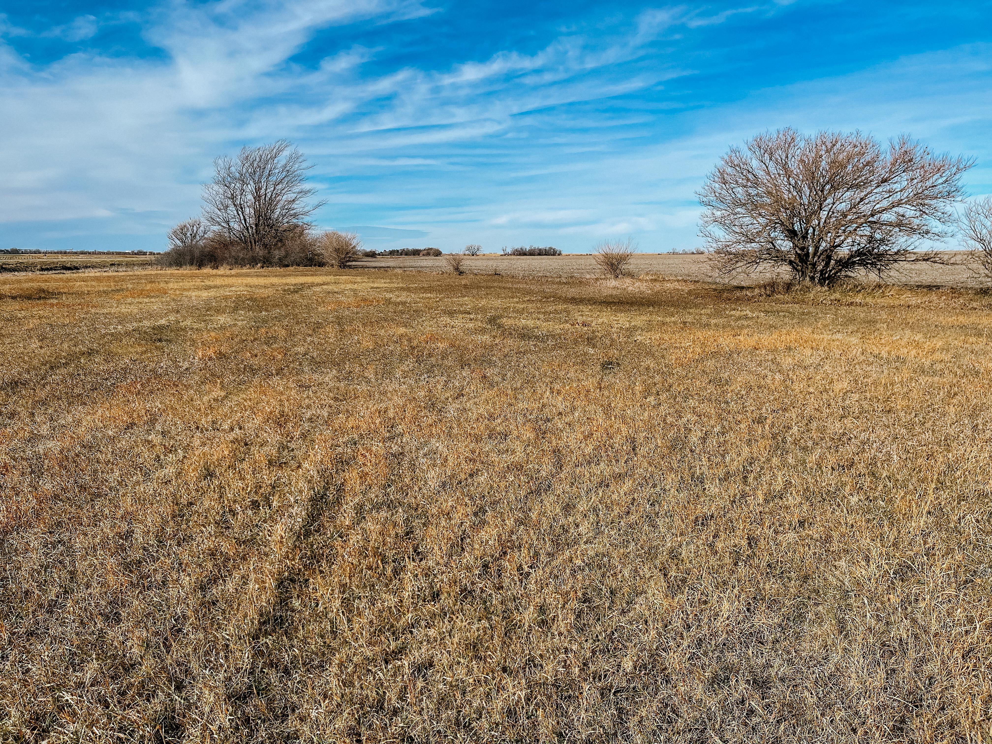 Sacramento, NE 68949 - image 22