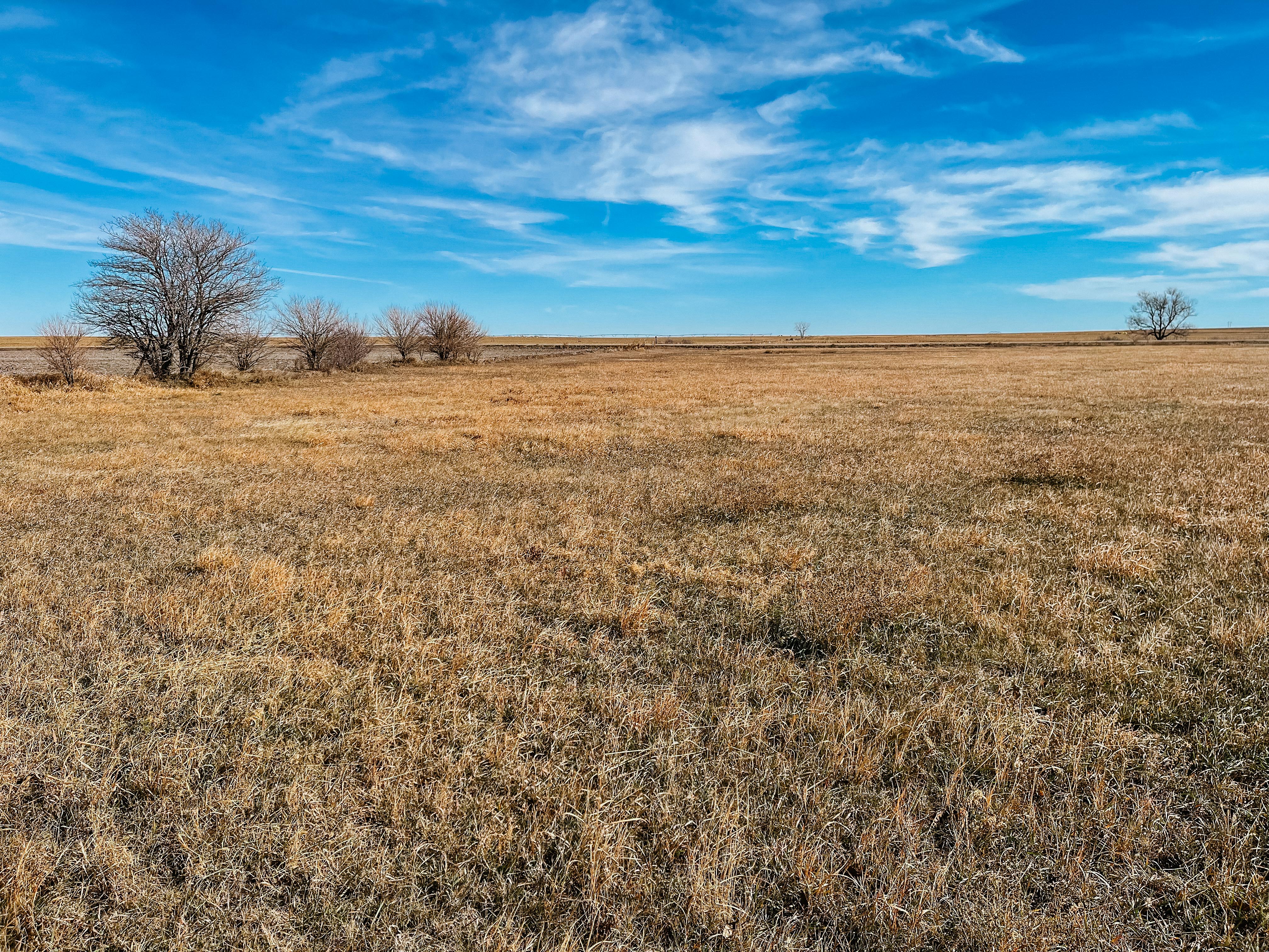 Sacramento, NE 68949 - image 20