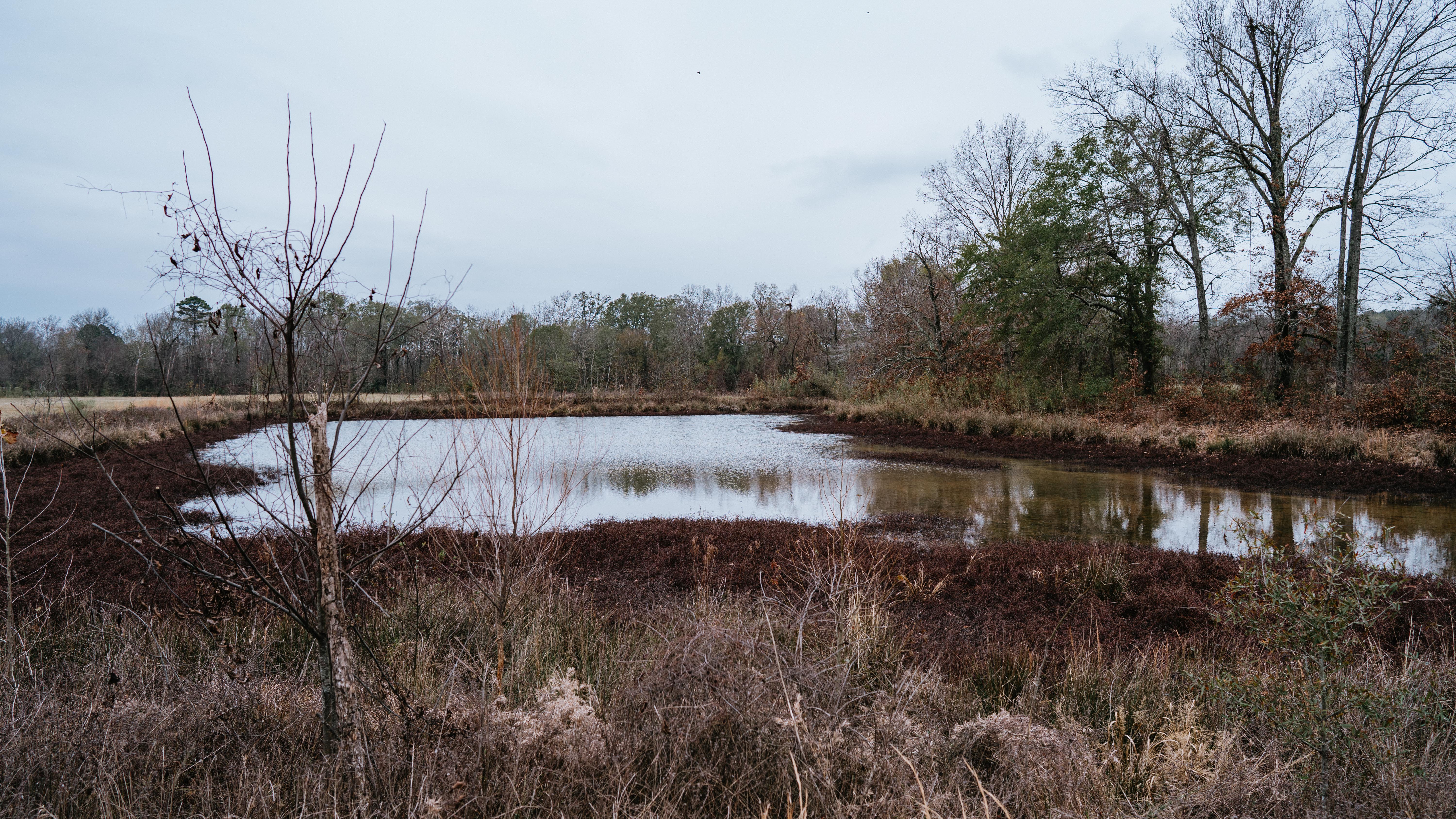 7183 Hwy 51S - image 41