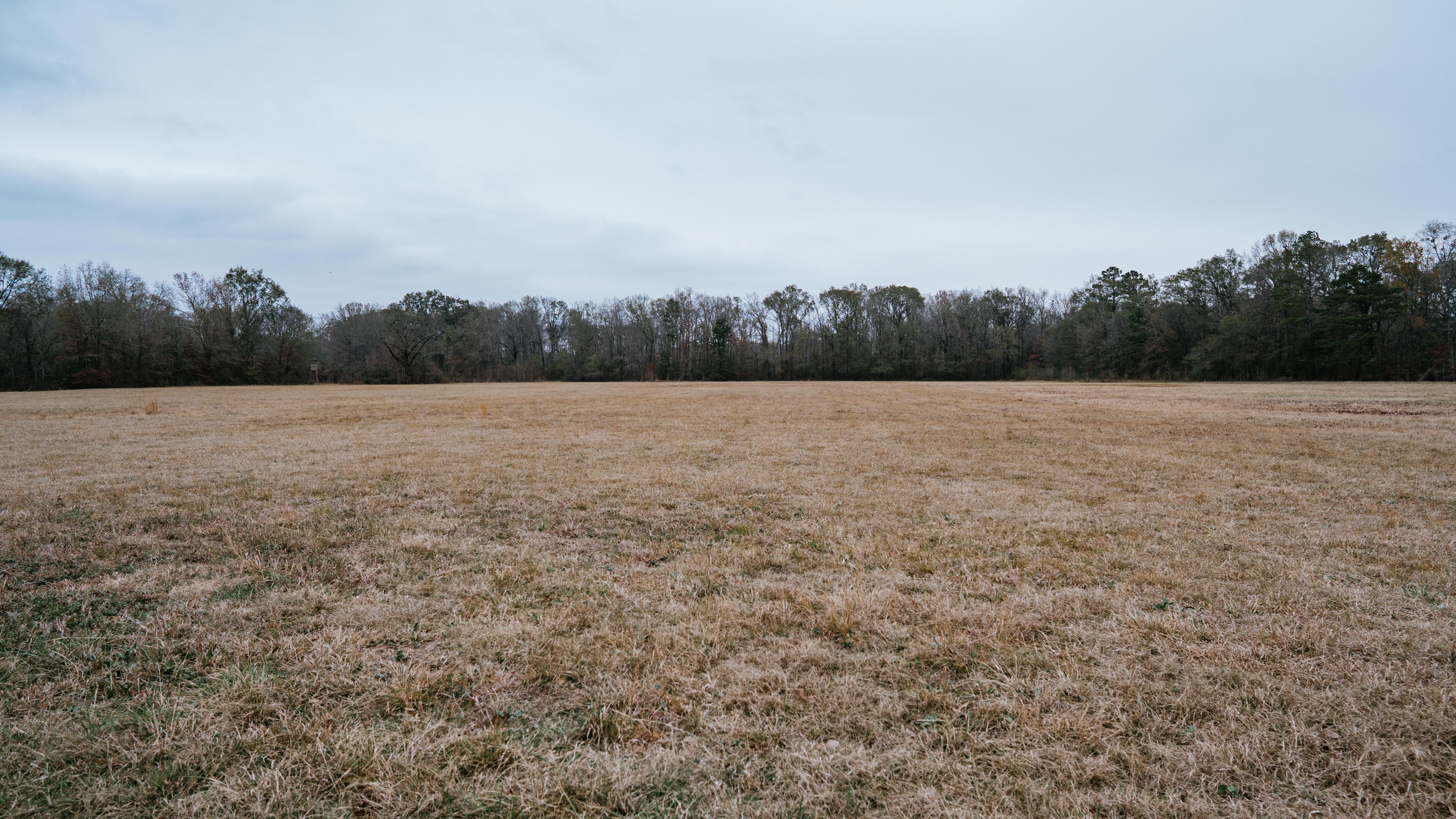 7183 Hwy 51S - image 40