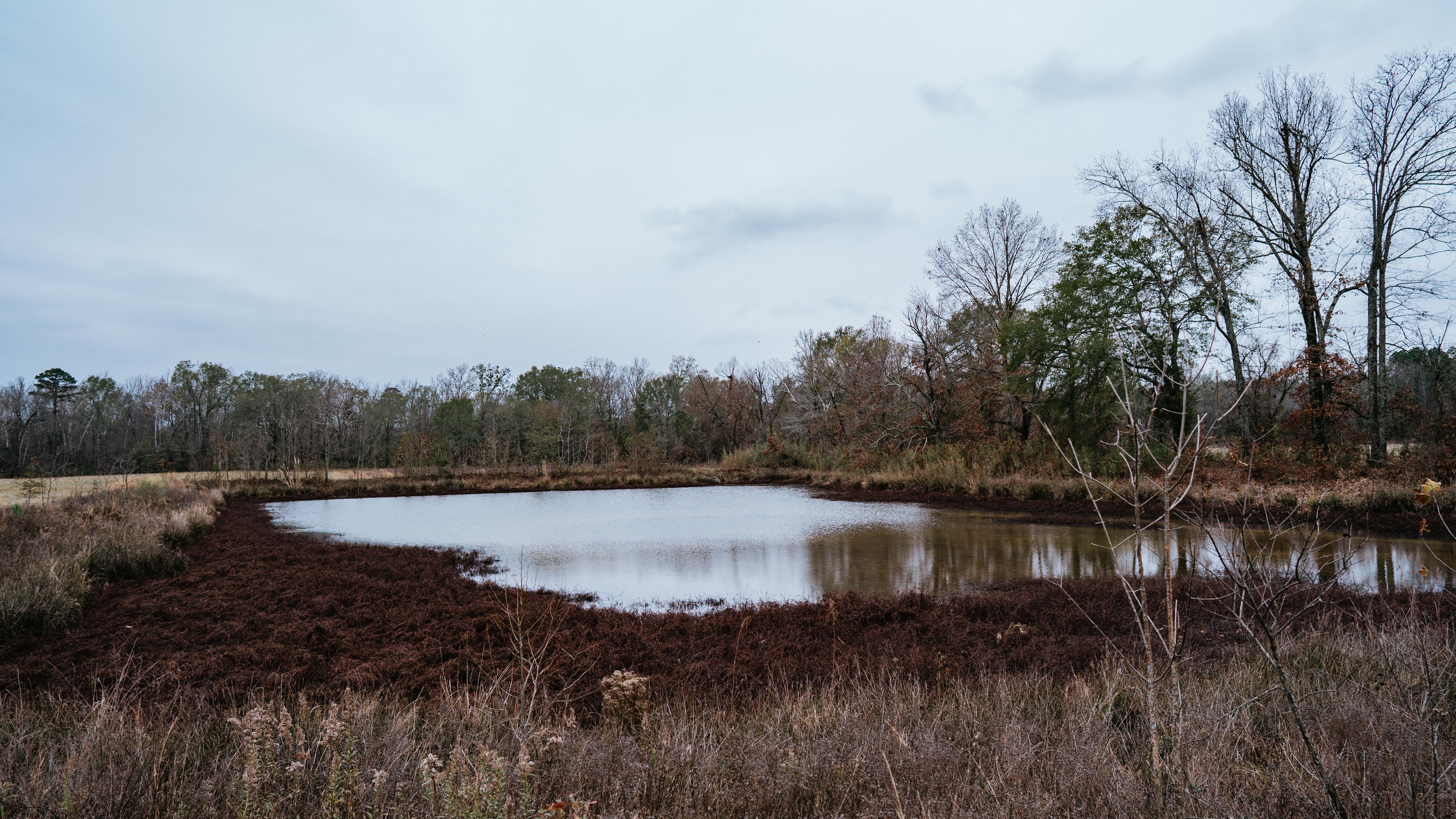 7183 Hwy 51S - image 39