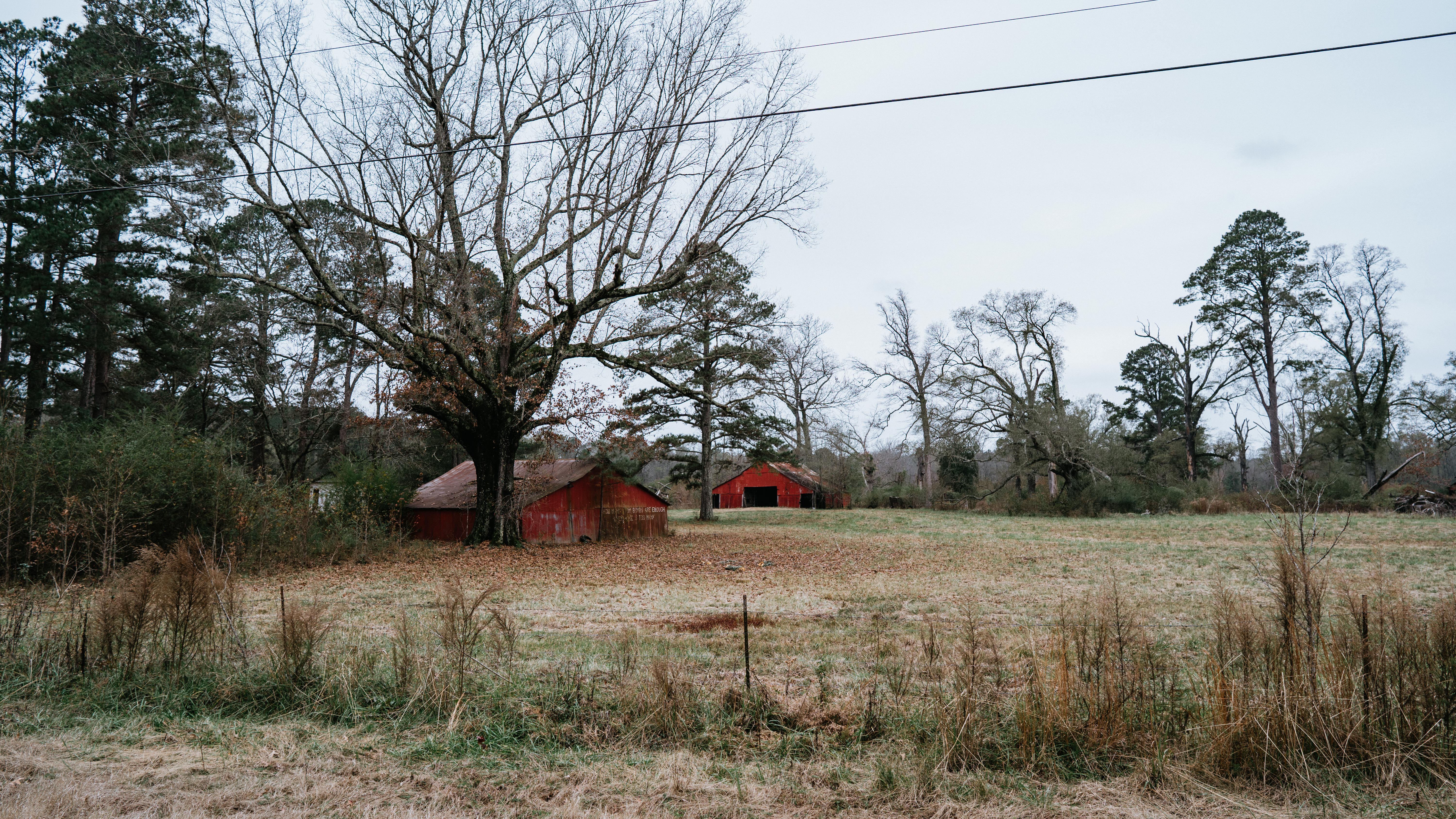 7183 Hwy 51S - image 38