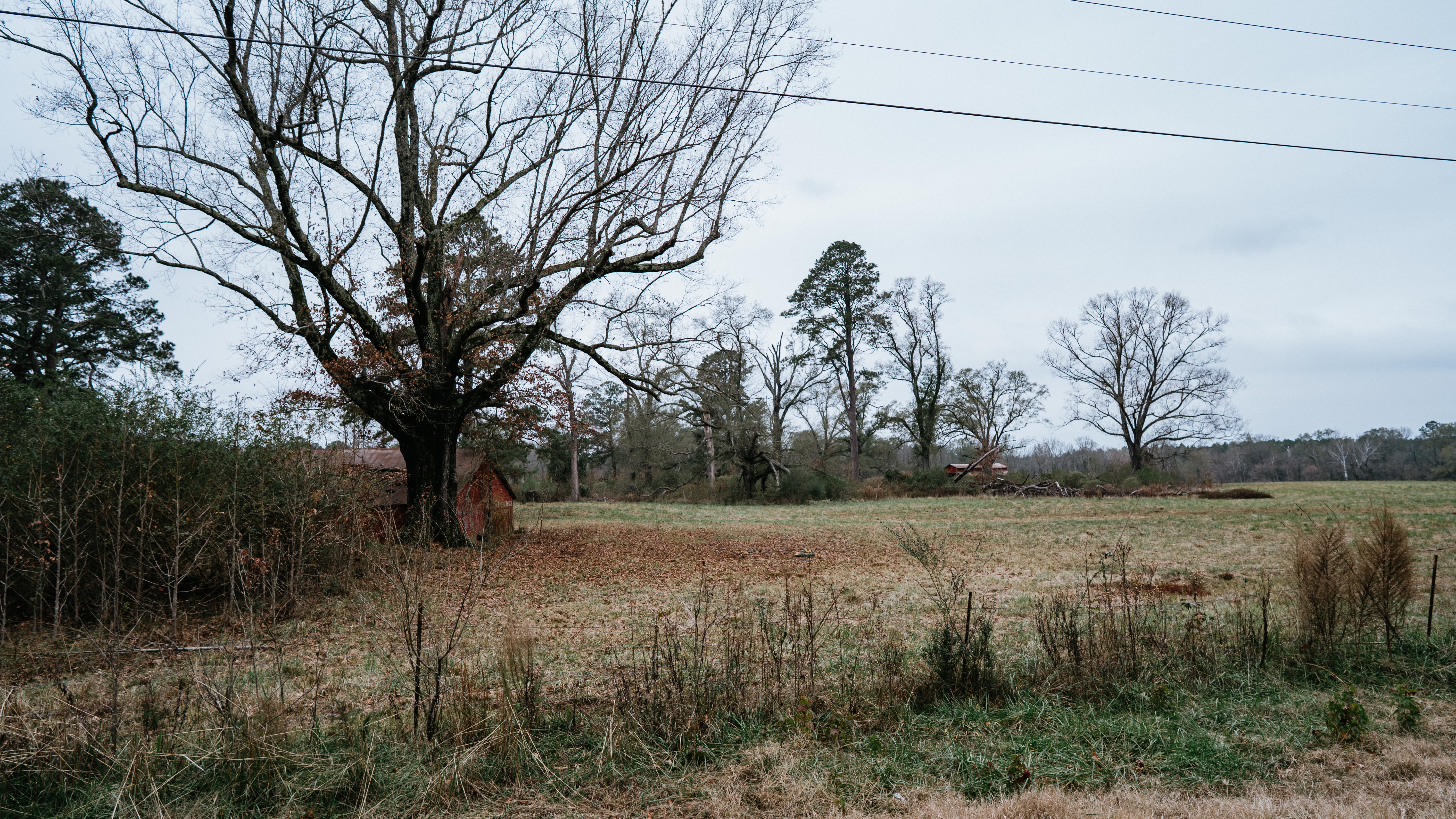 7183 Hwy 51S - image 37