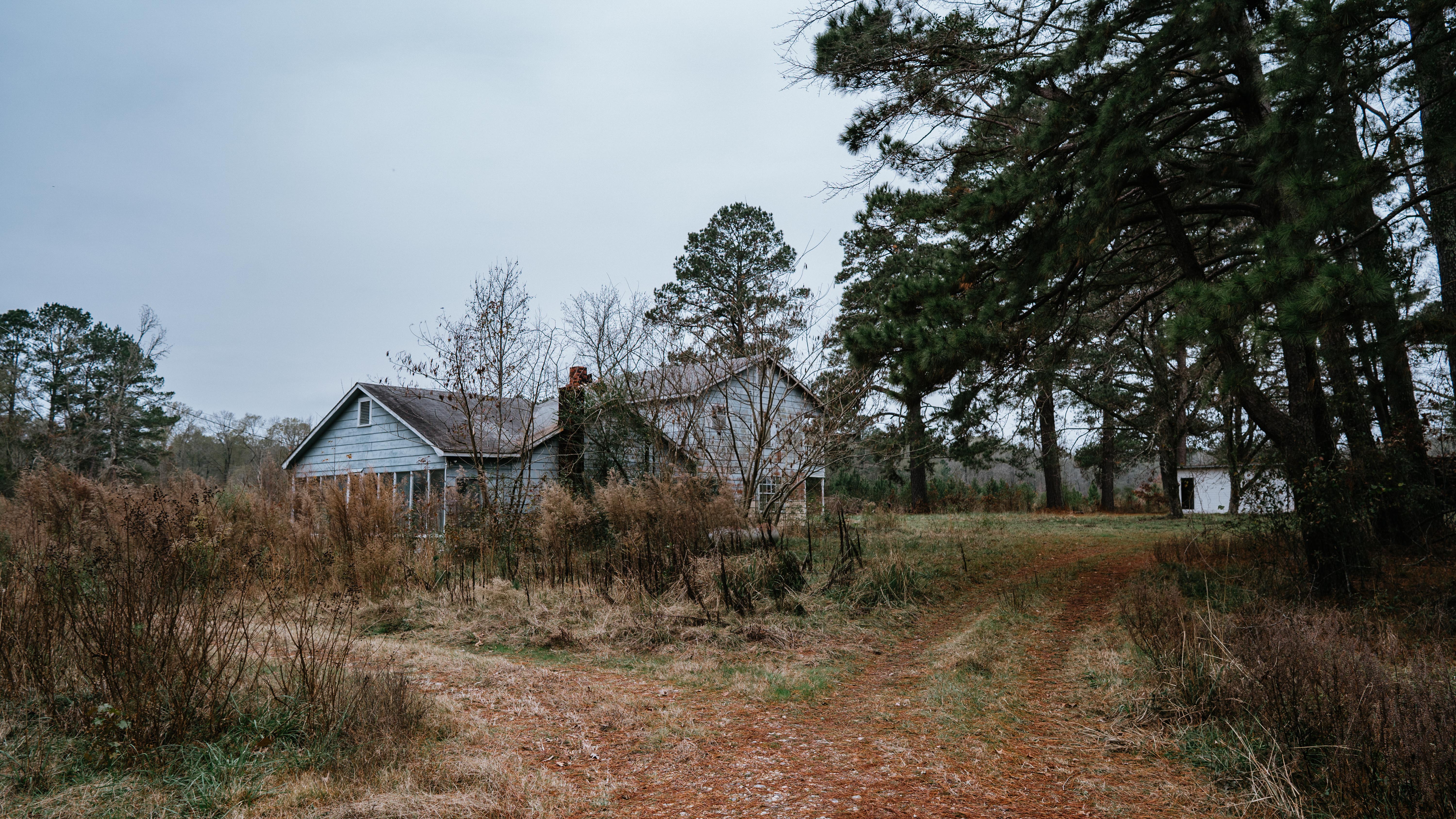 7183 Hwy 51S - image 35