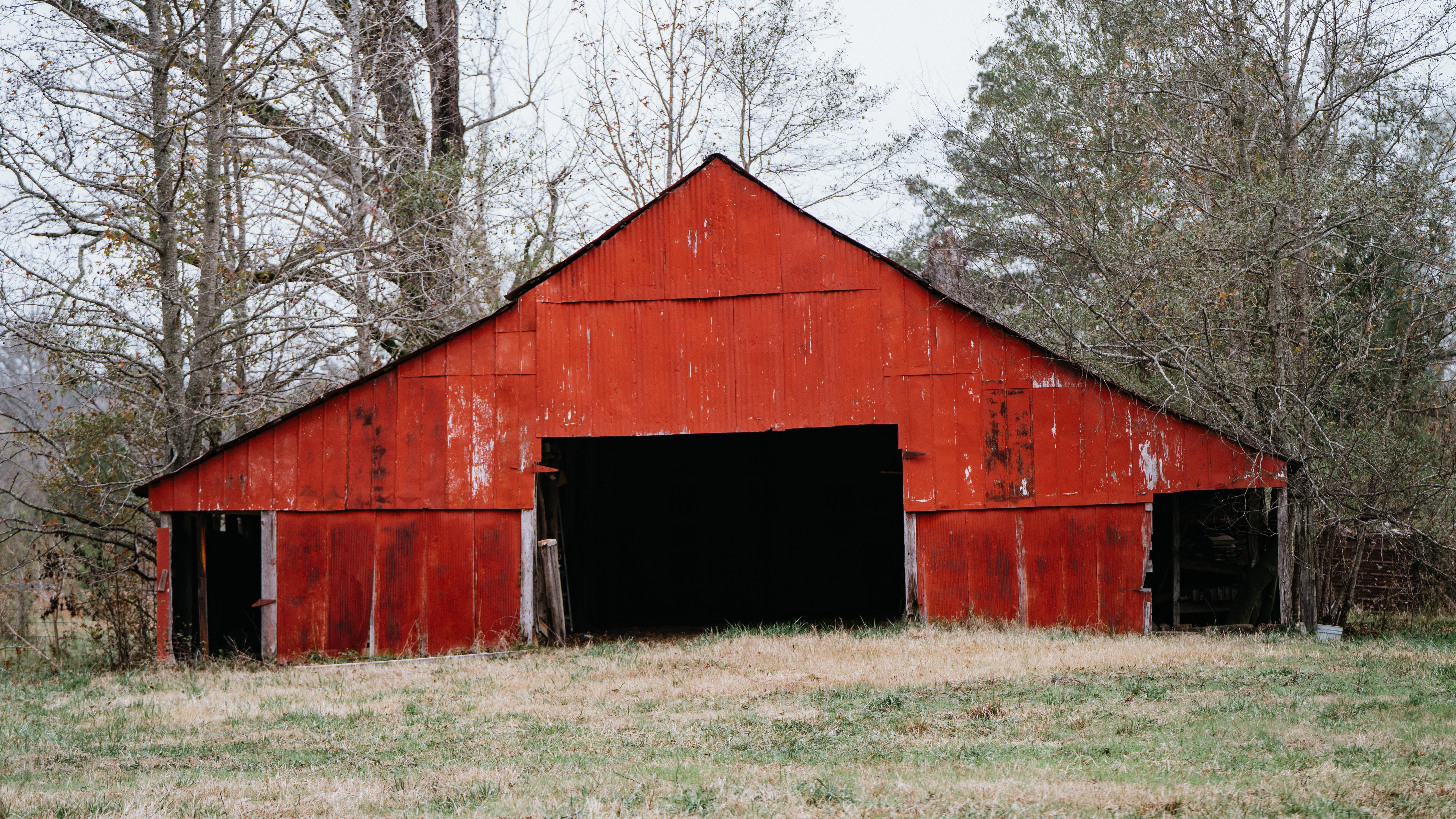 7183 Hwy 51S - image 27