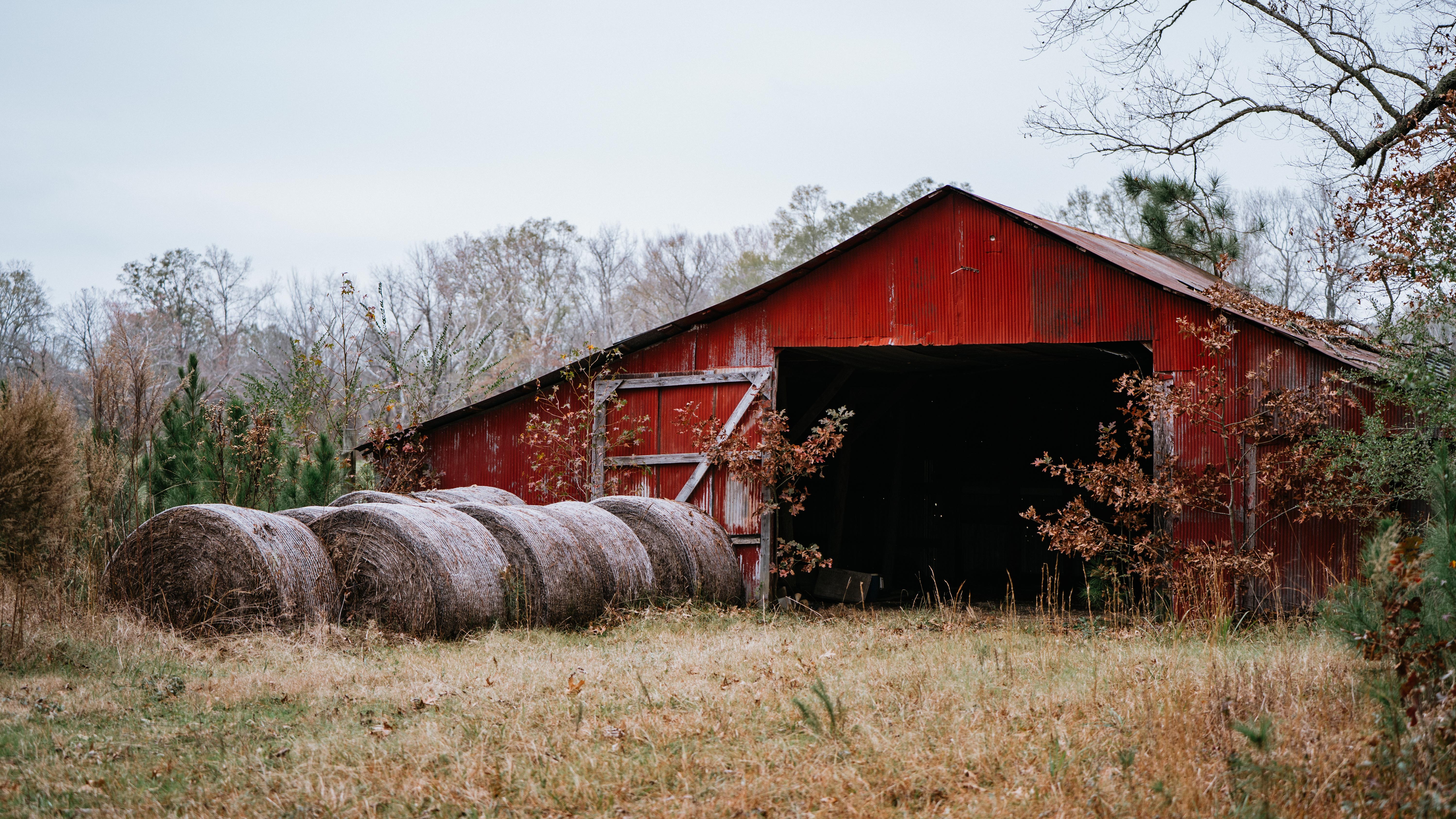 7183 Hwy 51S - image 28