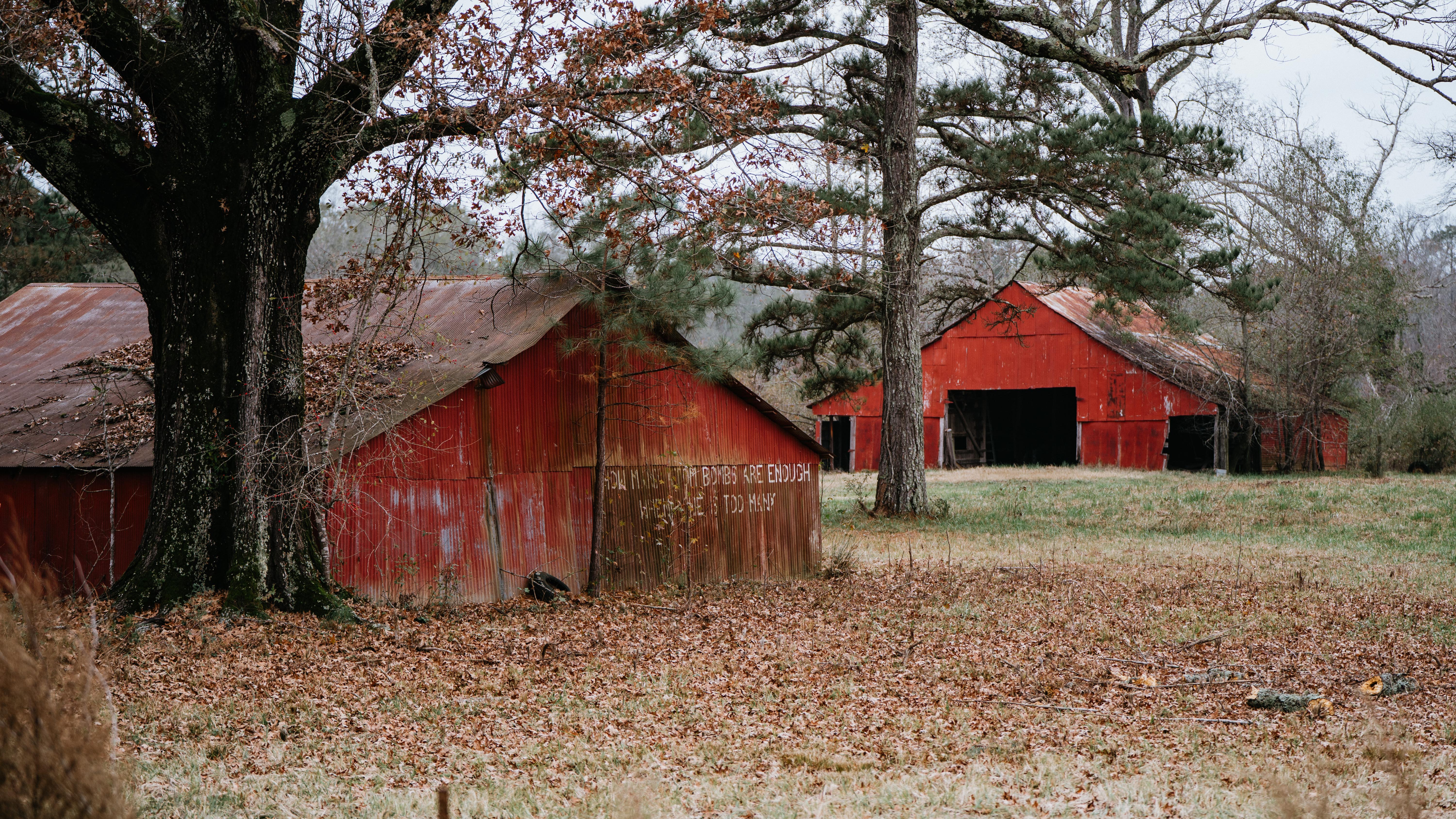 7183 Hwy 51S - image 25