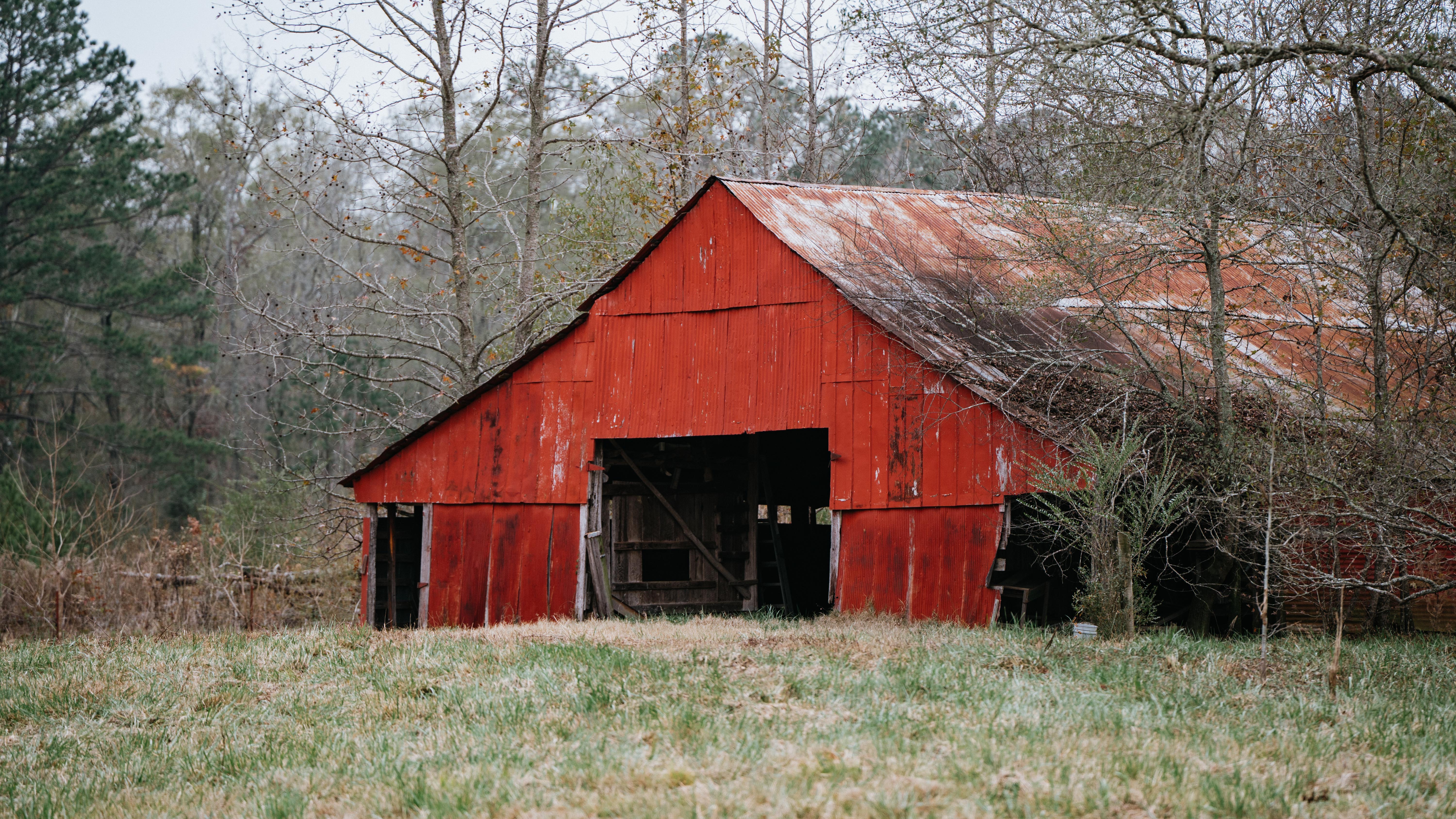 7183 Hwy 51S - image 26