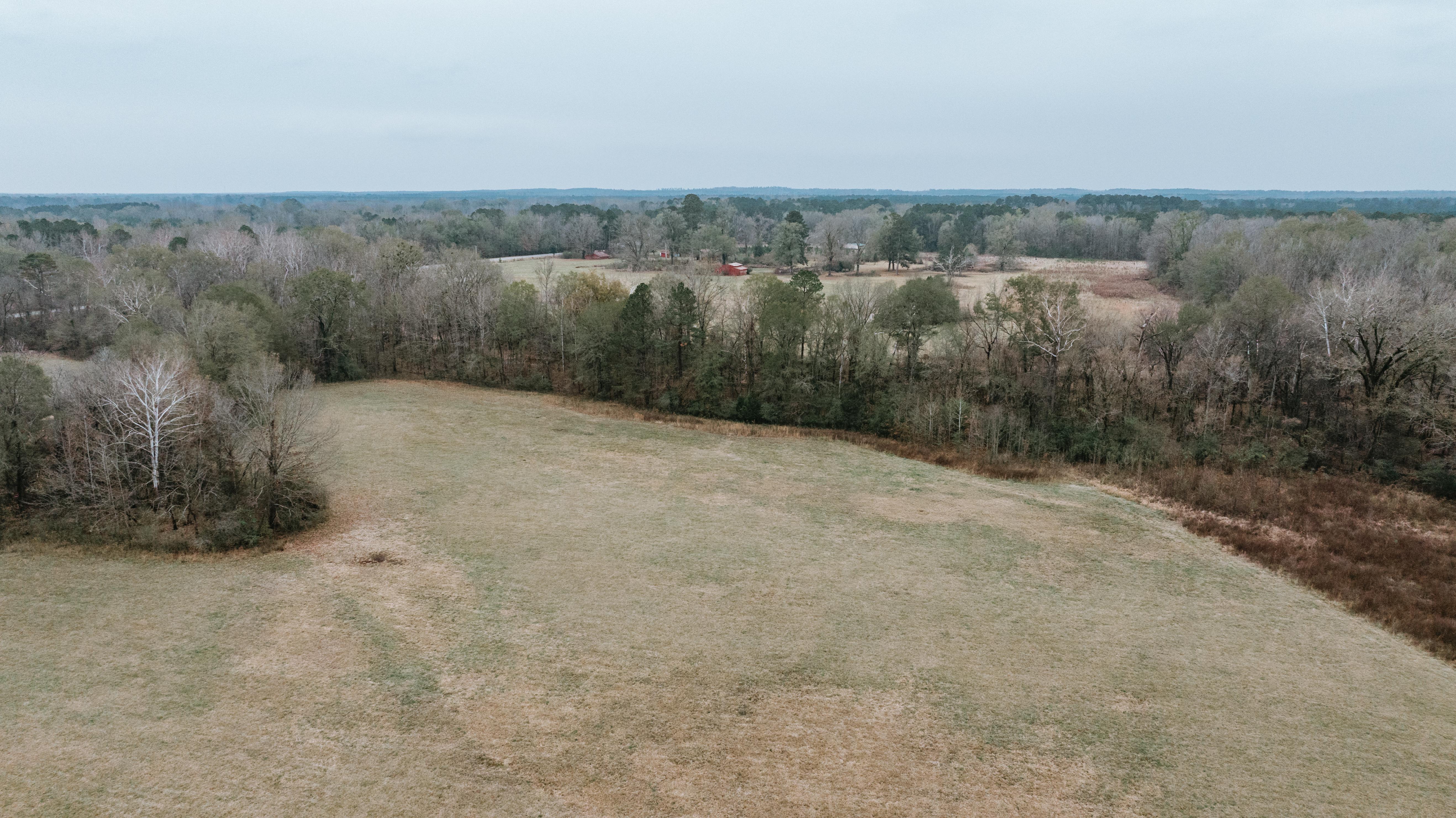 7183 Hwy 51S - image 23