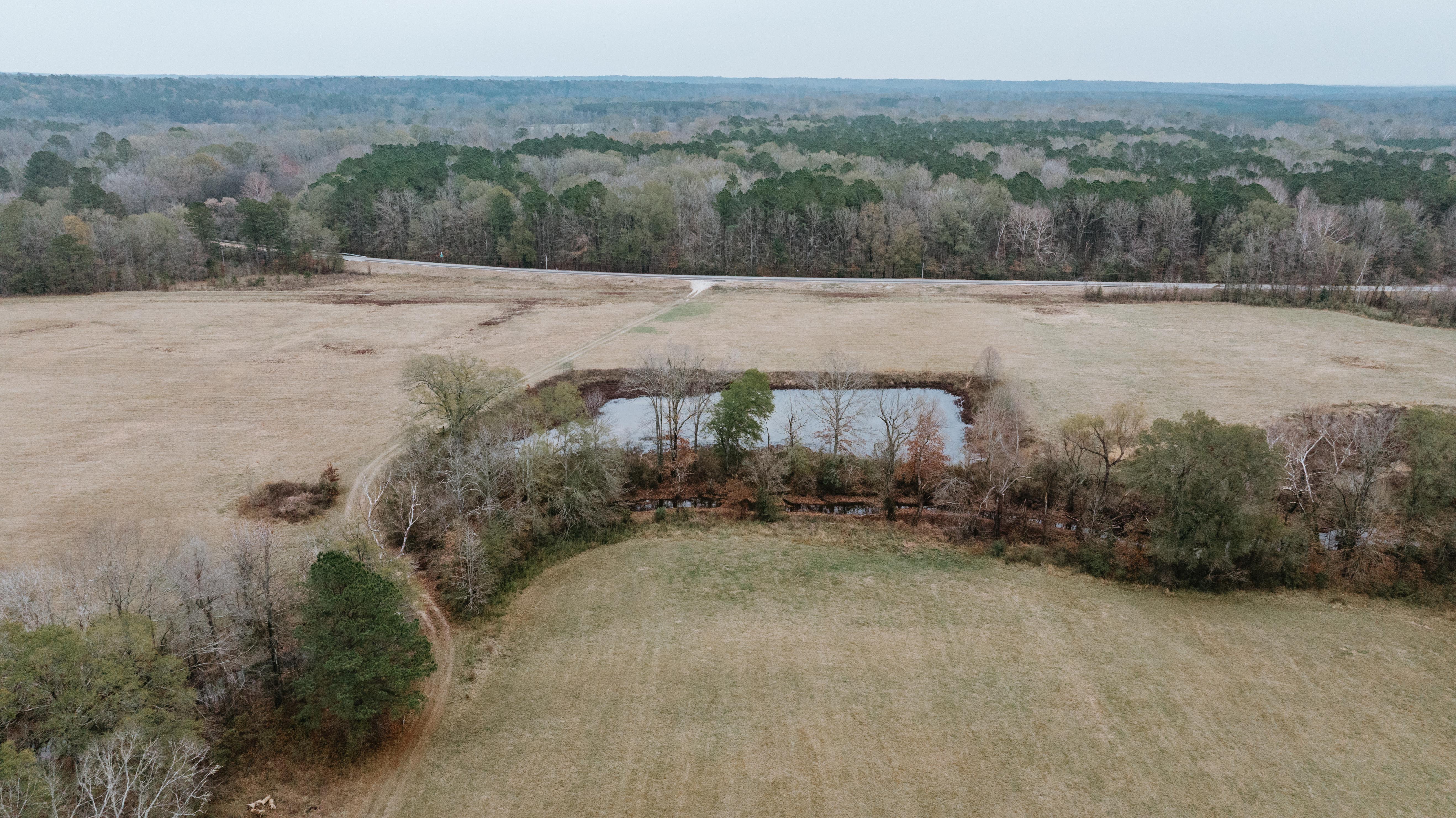 7183 Hwy 51S - image 22