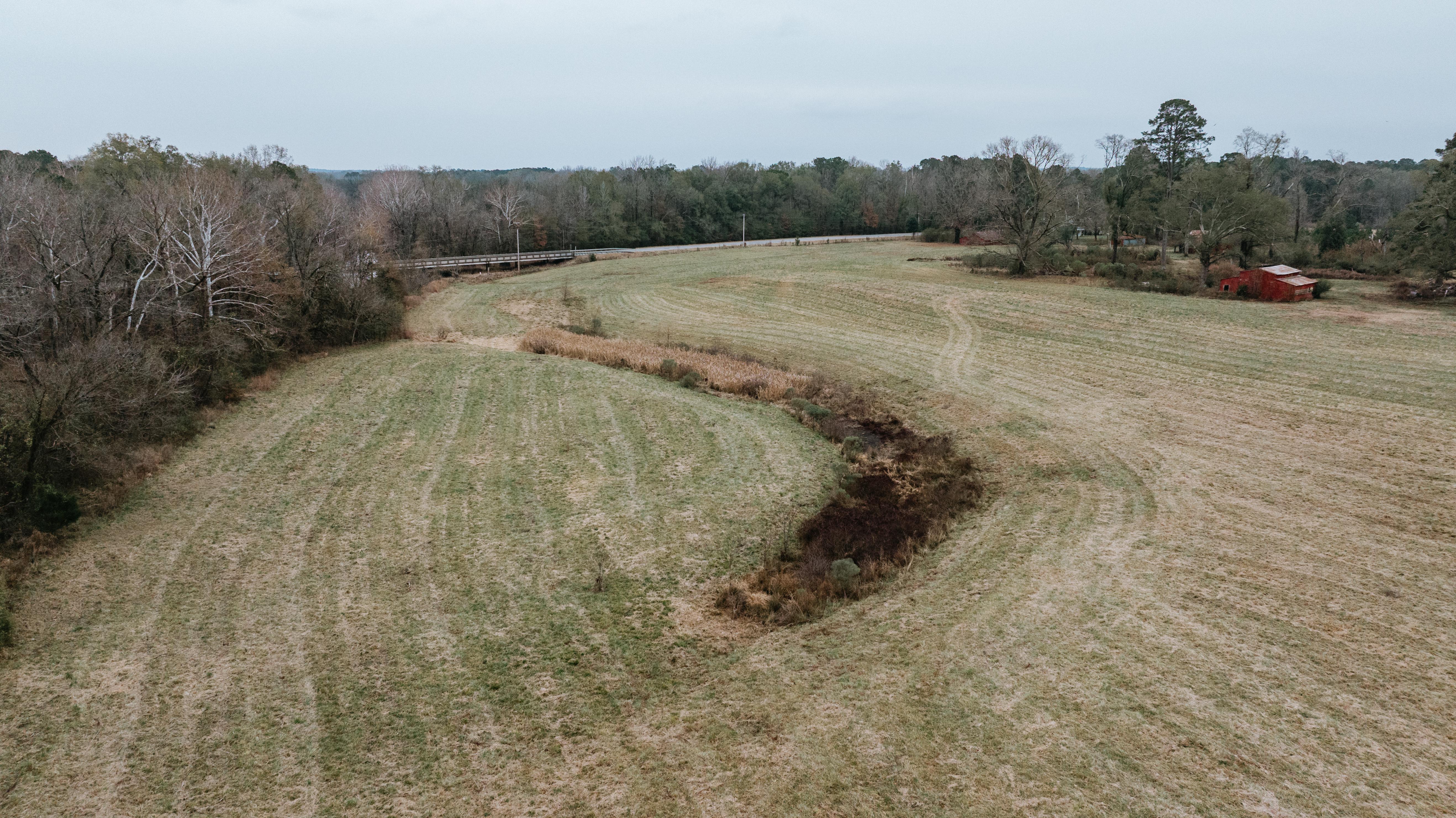 7183 Hwy 51S - image 20