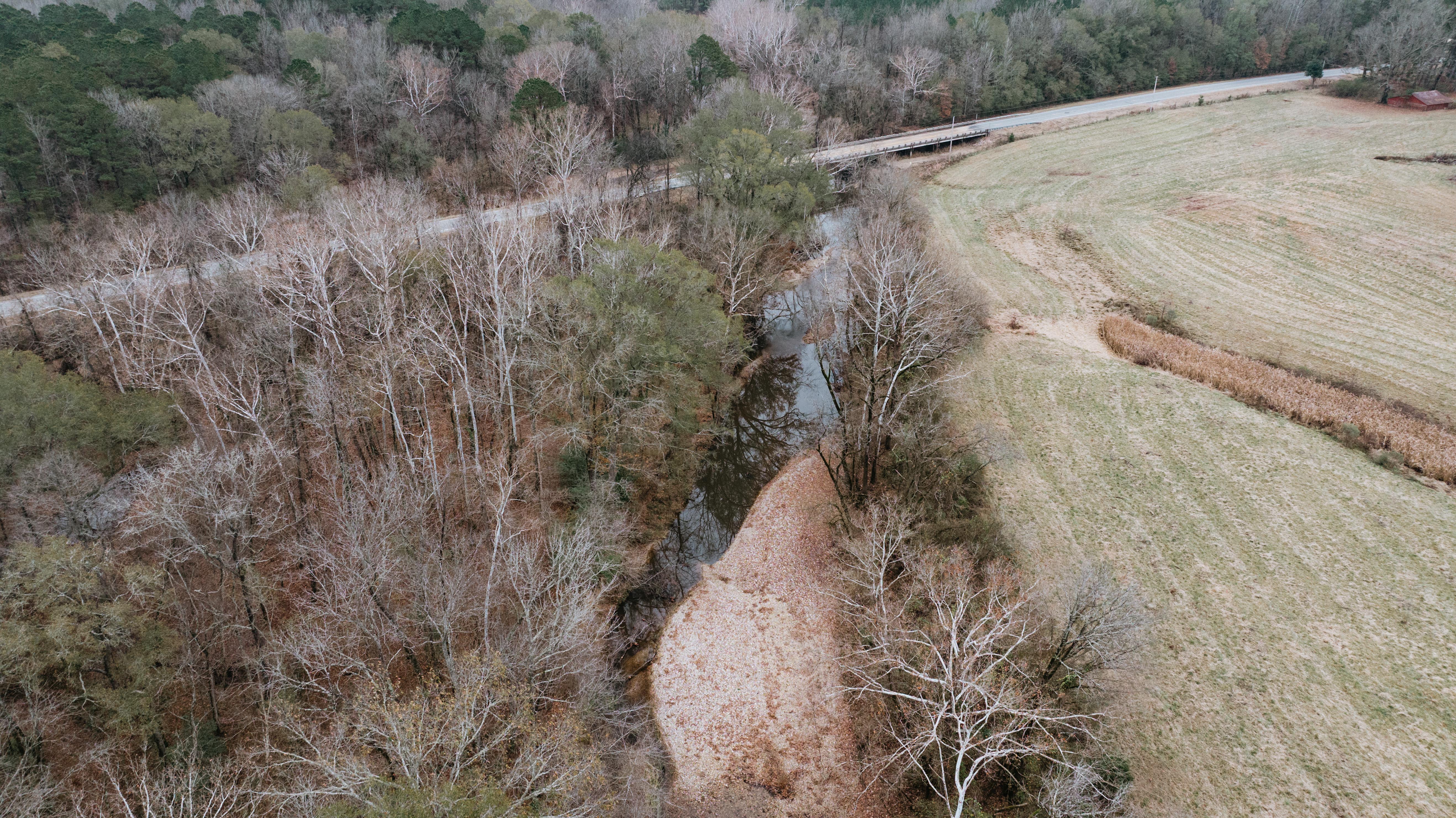 7183 Hwy 51S - image 19