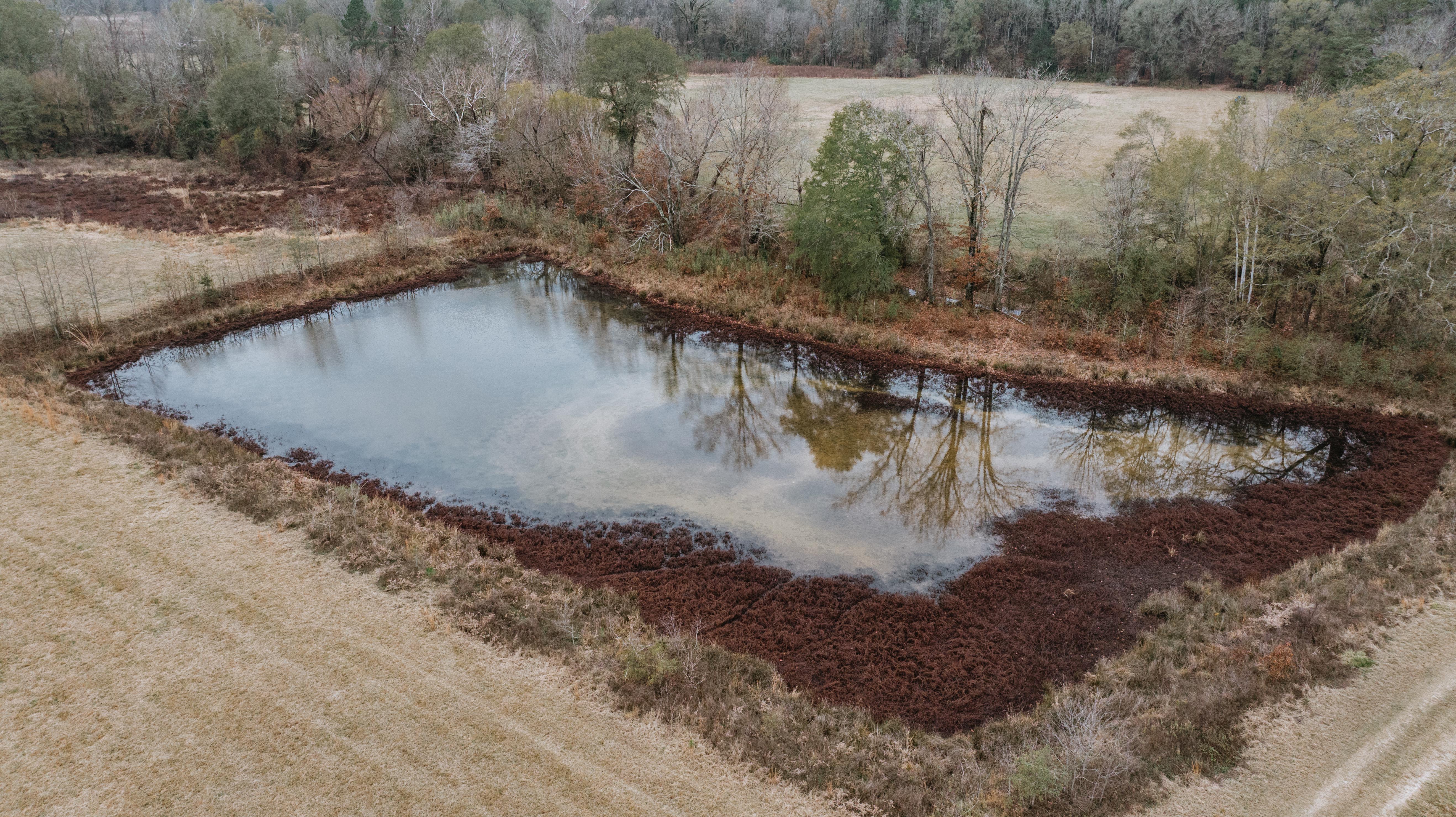 7183 Hwy 51S - image 18