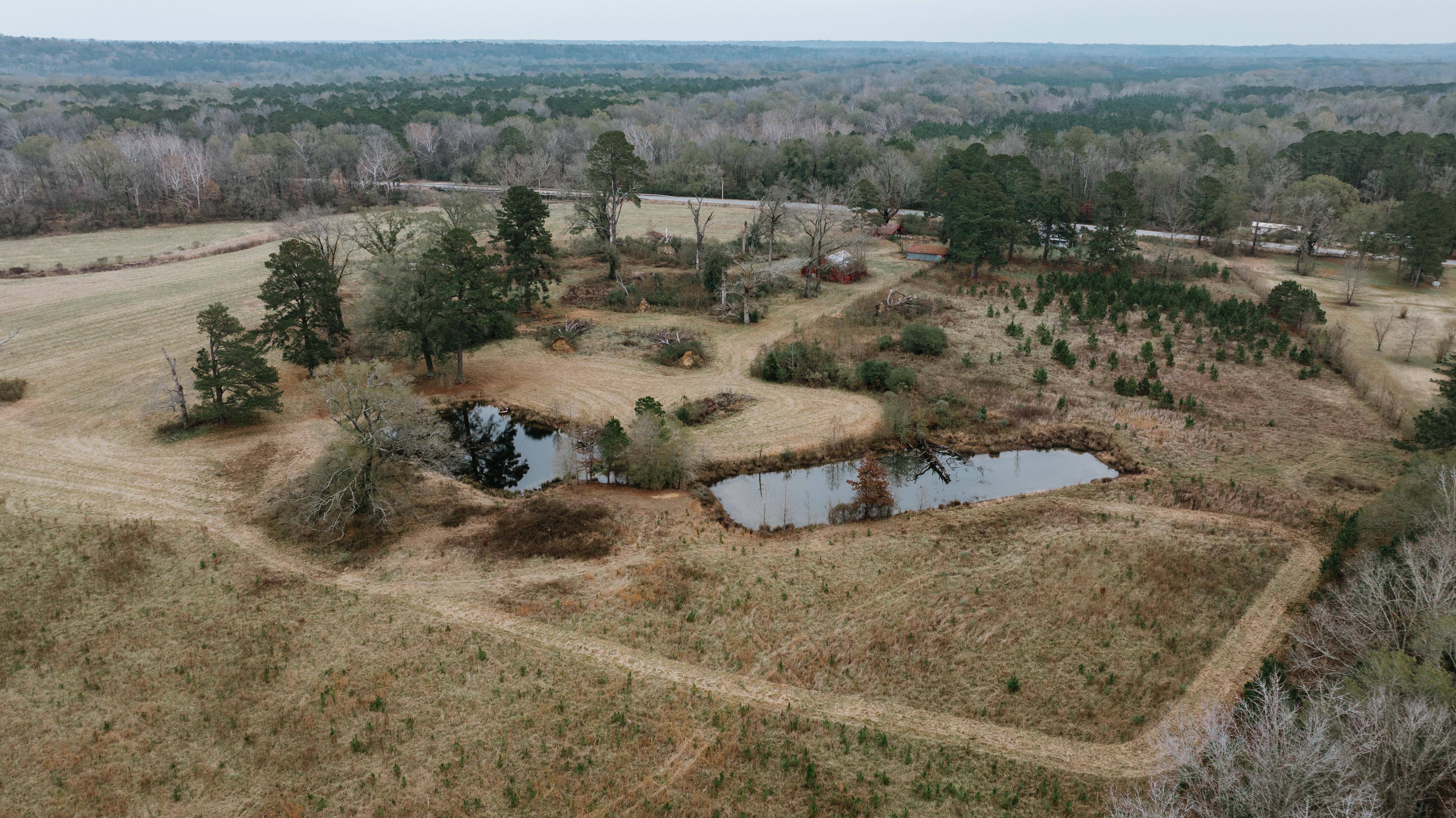 7183 Hwy 51S - image 16