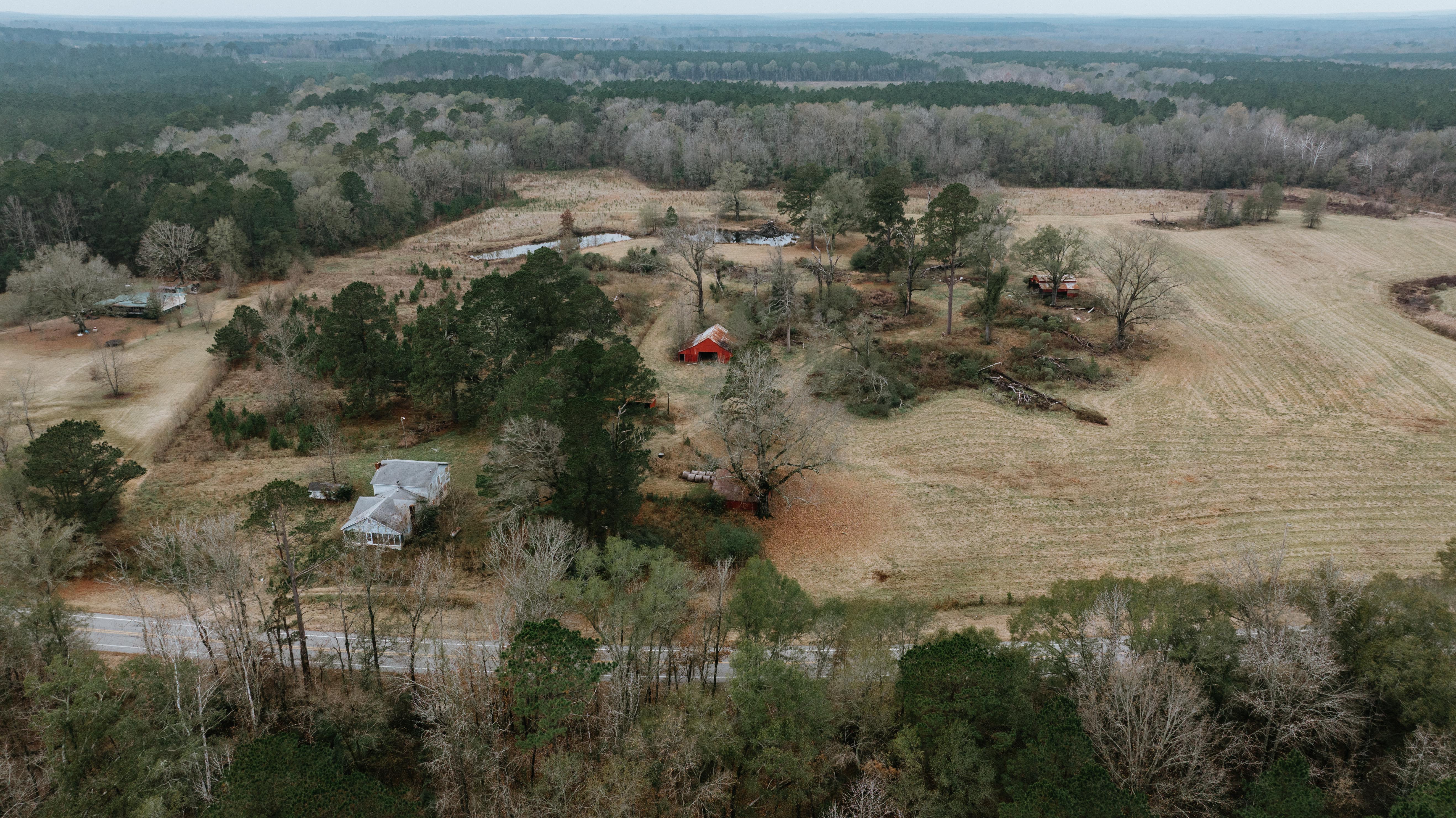 7183 Hwy 51S - image 11