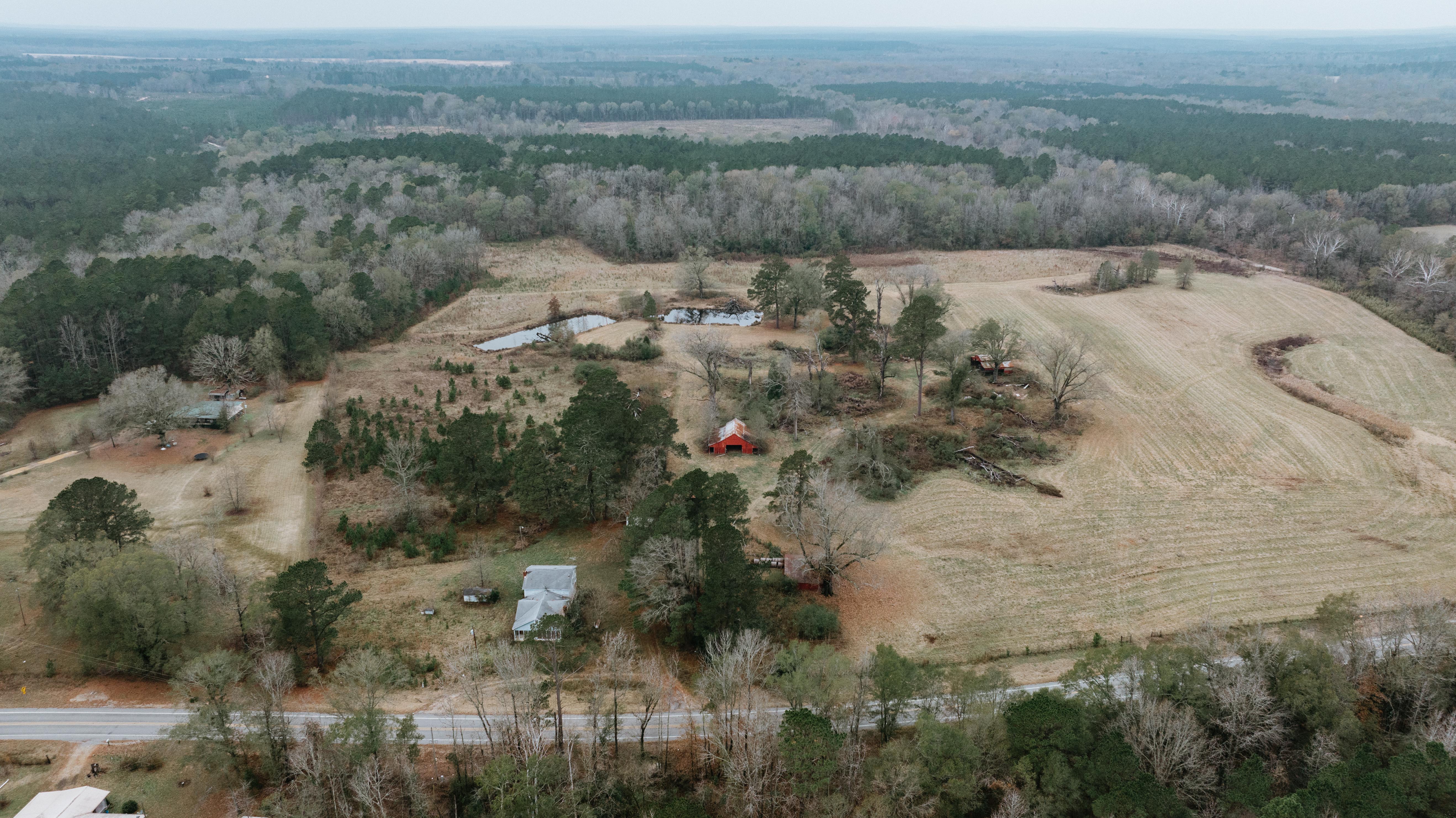 7183 Hwy 51S - image 10