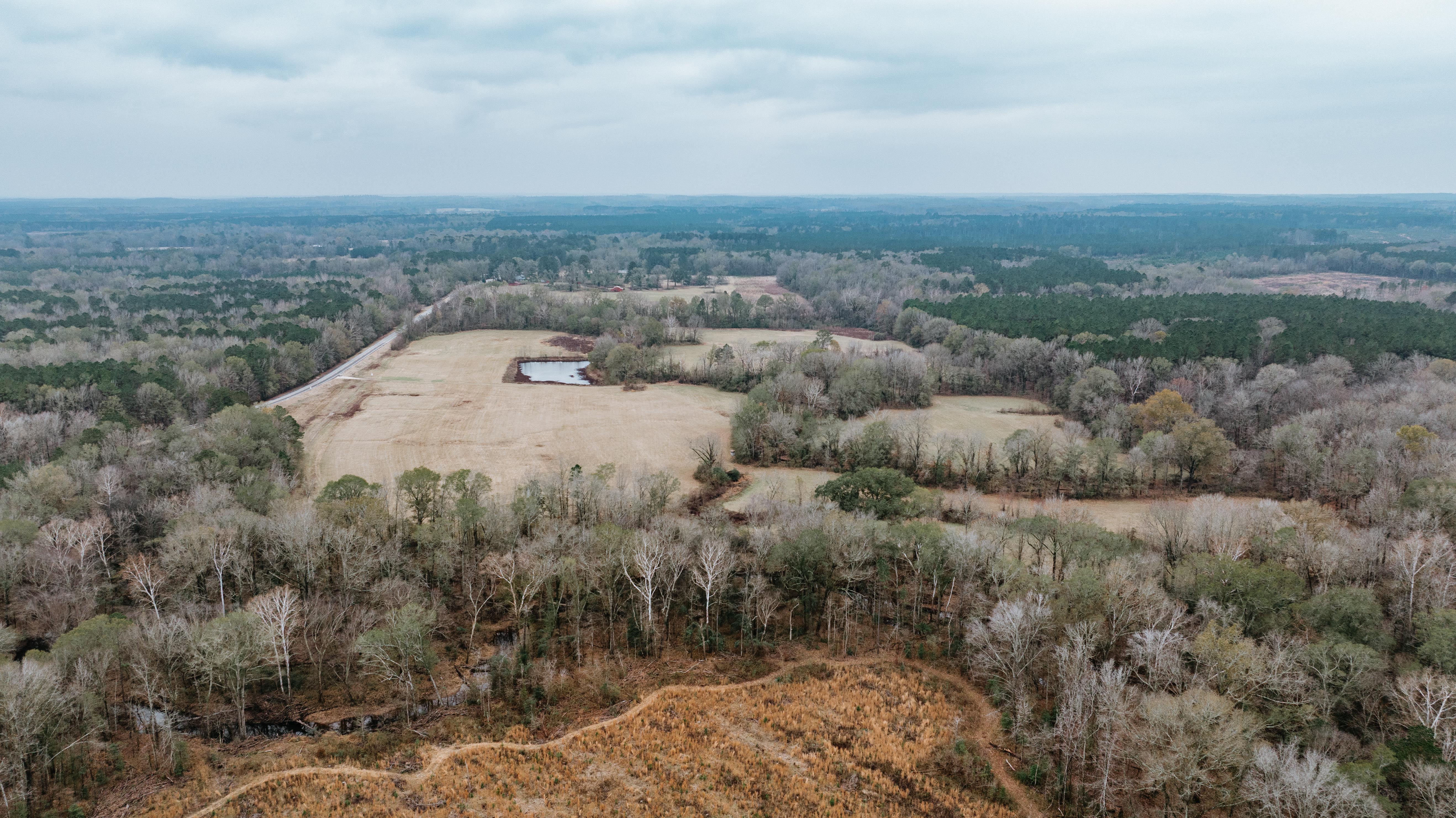 7183 Hwy 51S - image 9