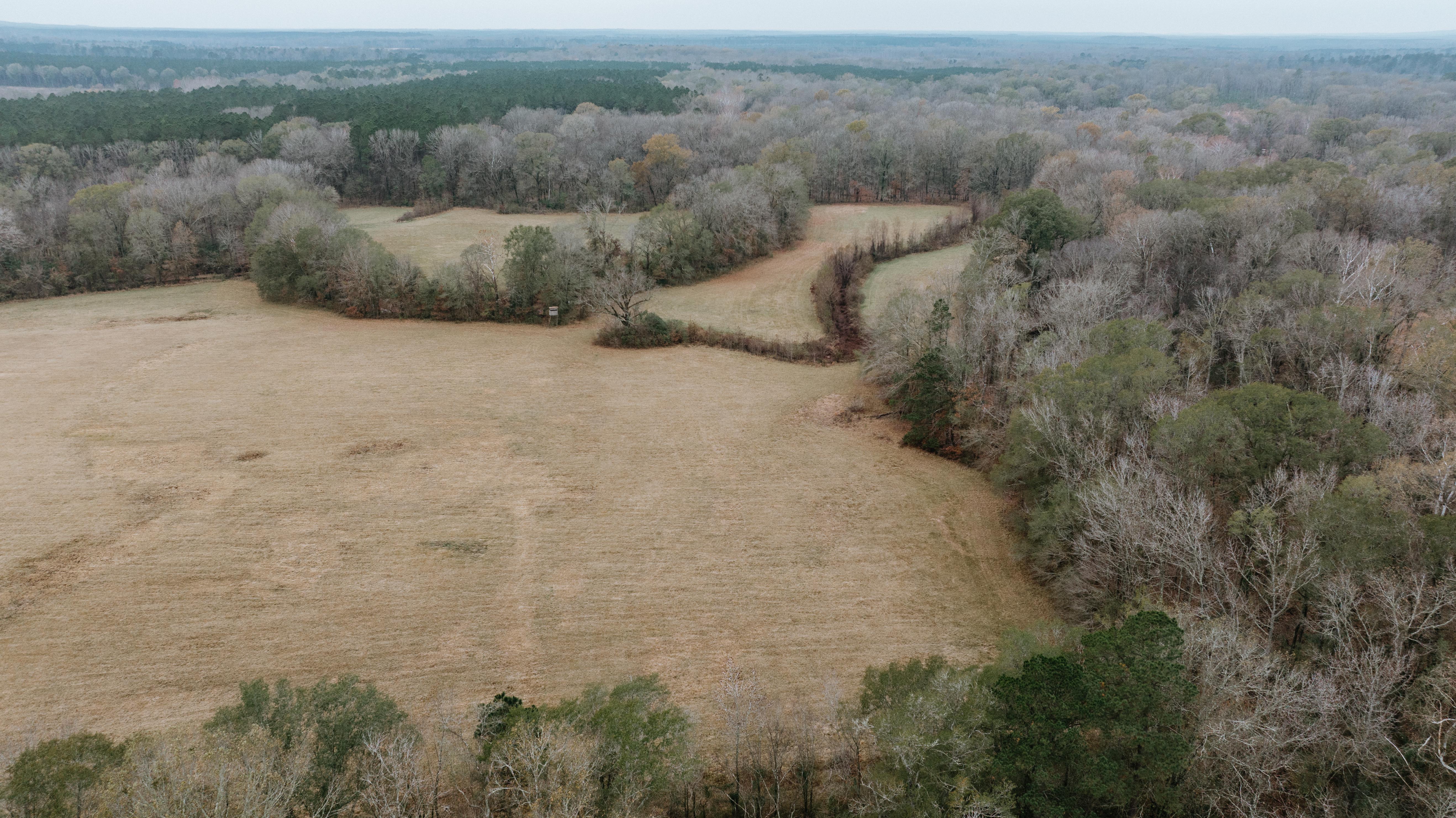 7183 Hwy 51S - image 8