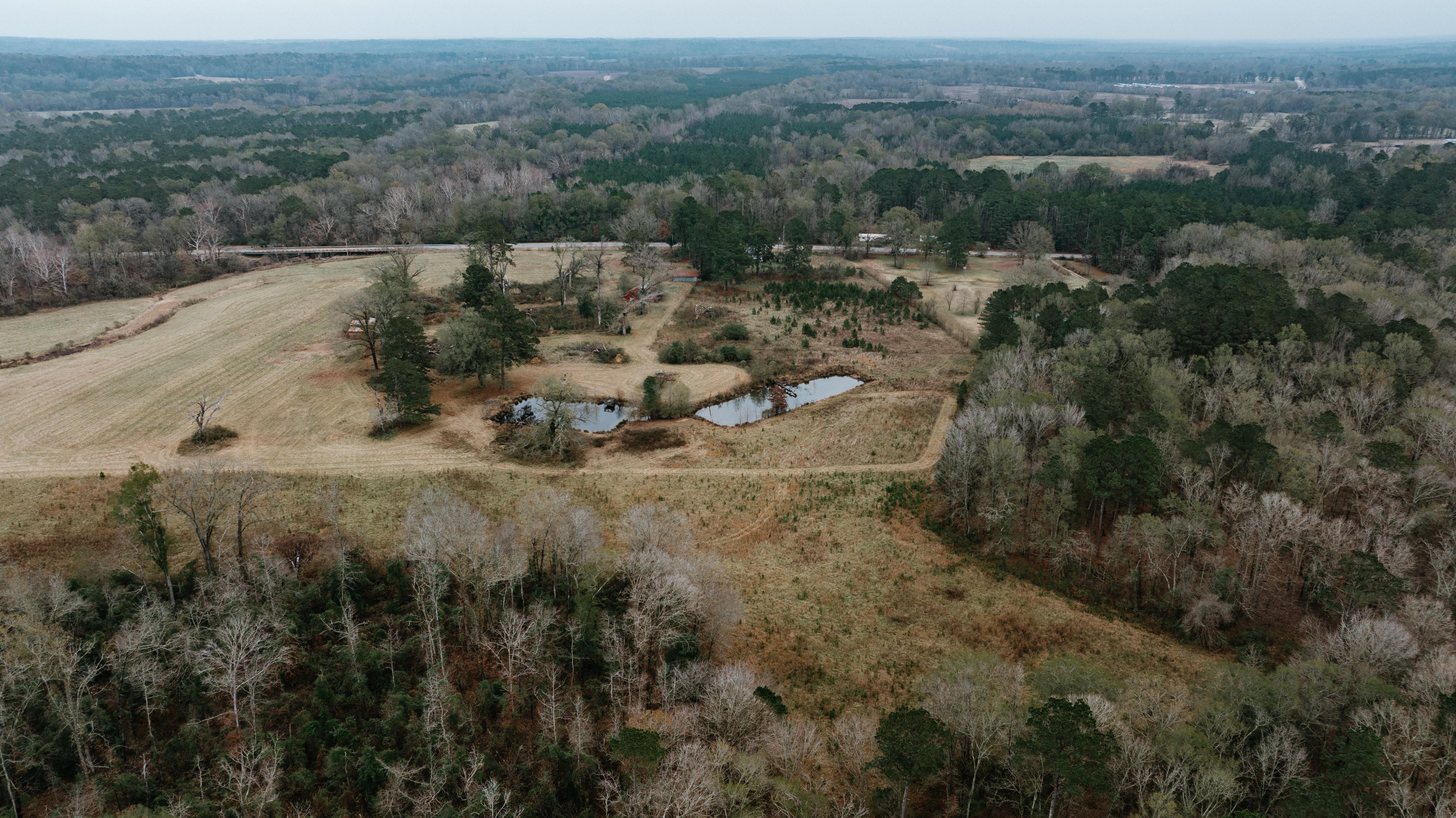 7183 Hwy 51S - image 5