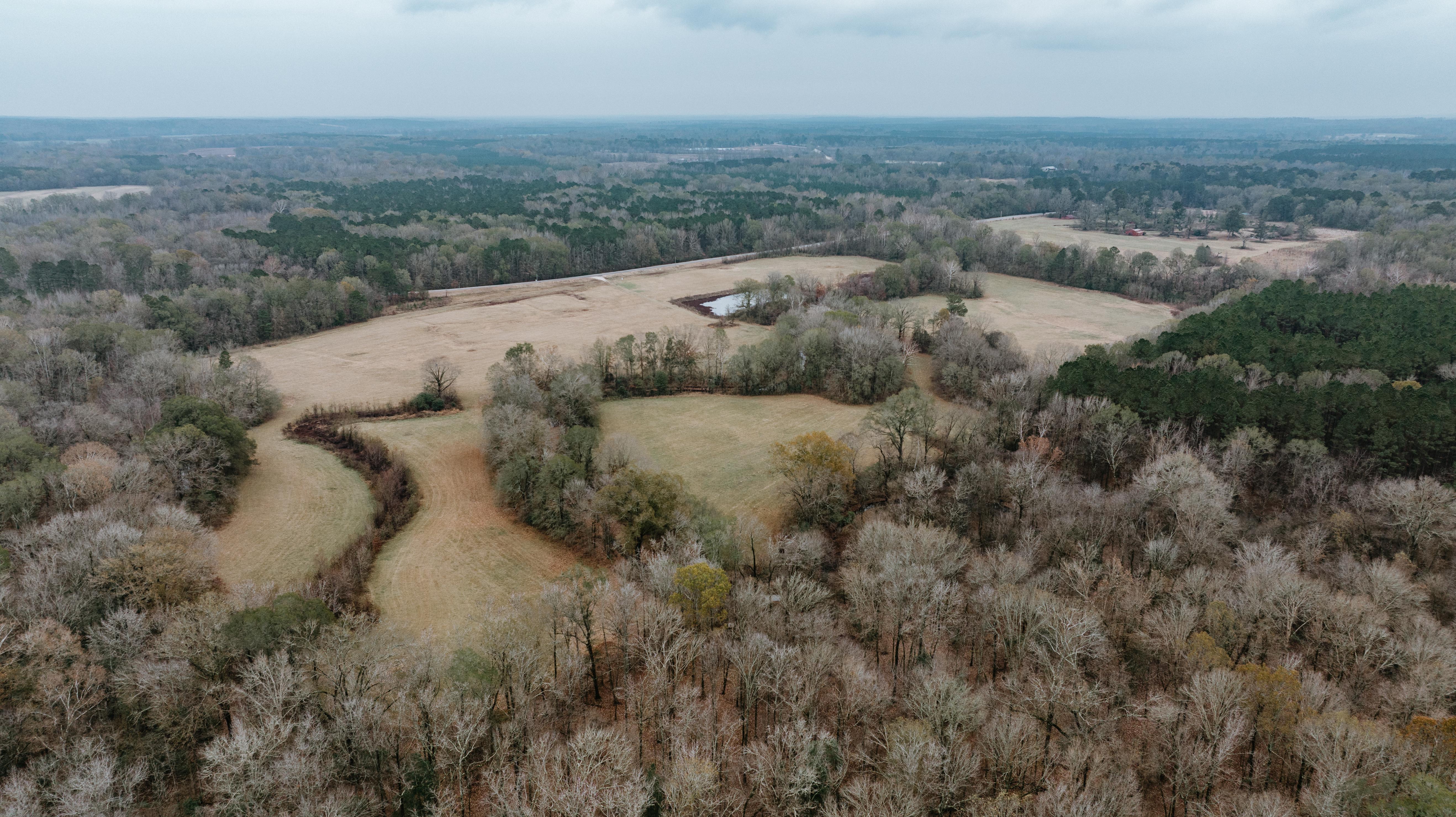 7183 Hwy 51S - image 4