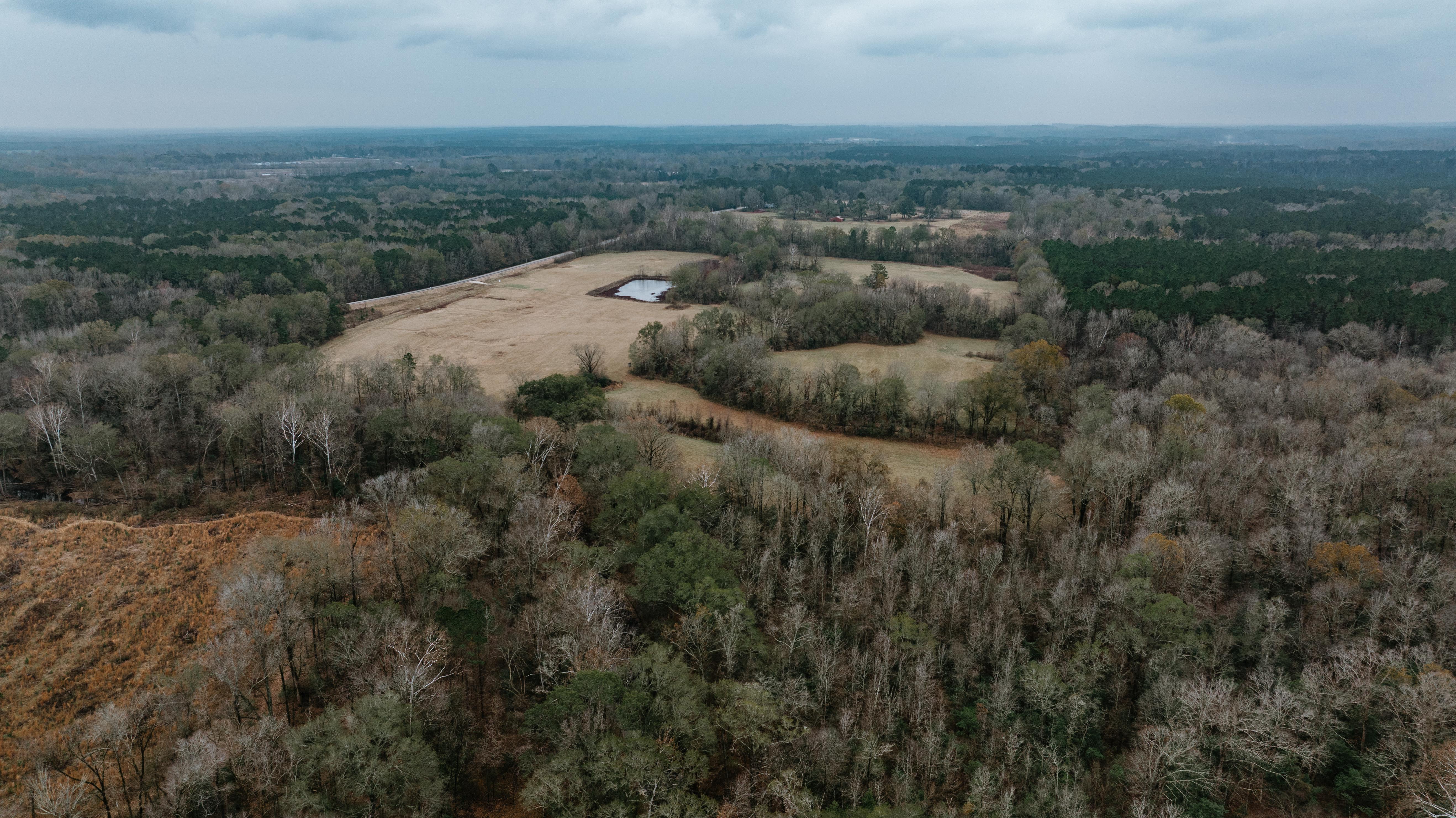 7183 Hwy 51S - image 3