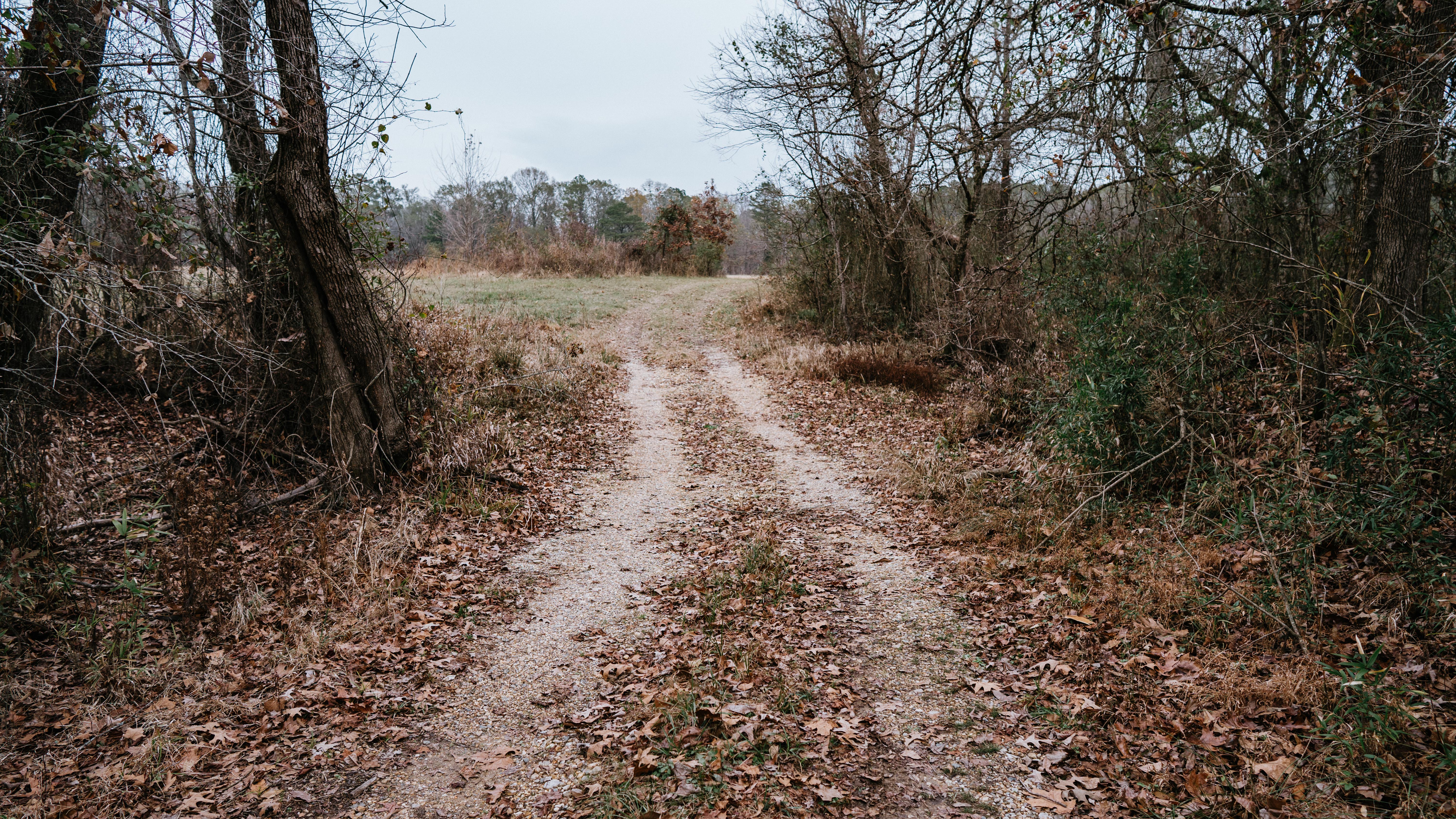 7183 Hwy 51S - image 43