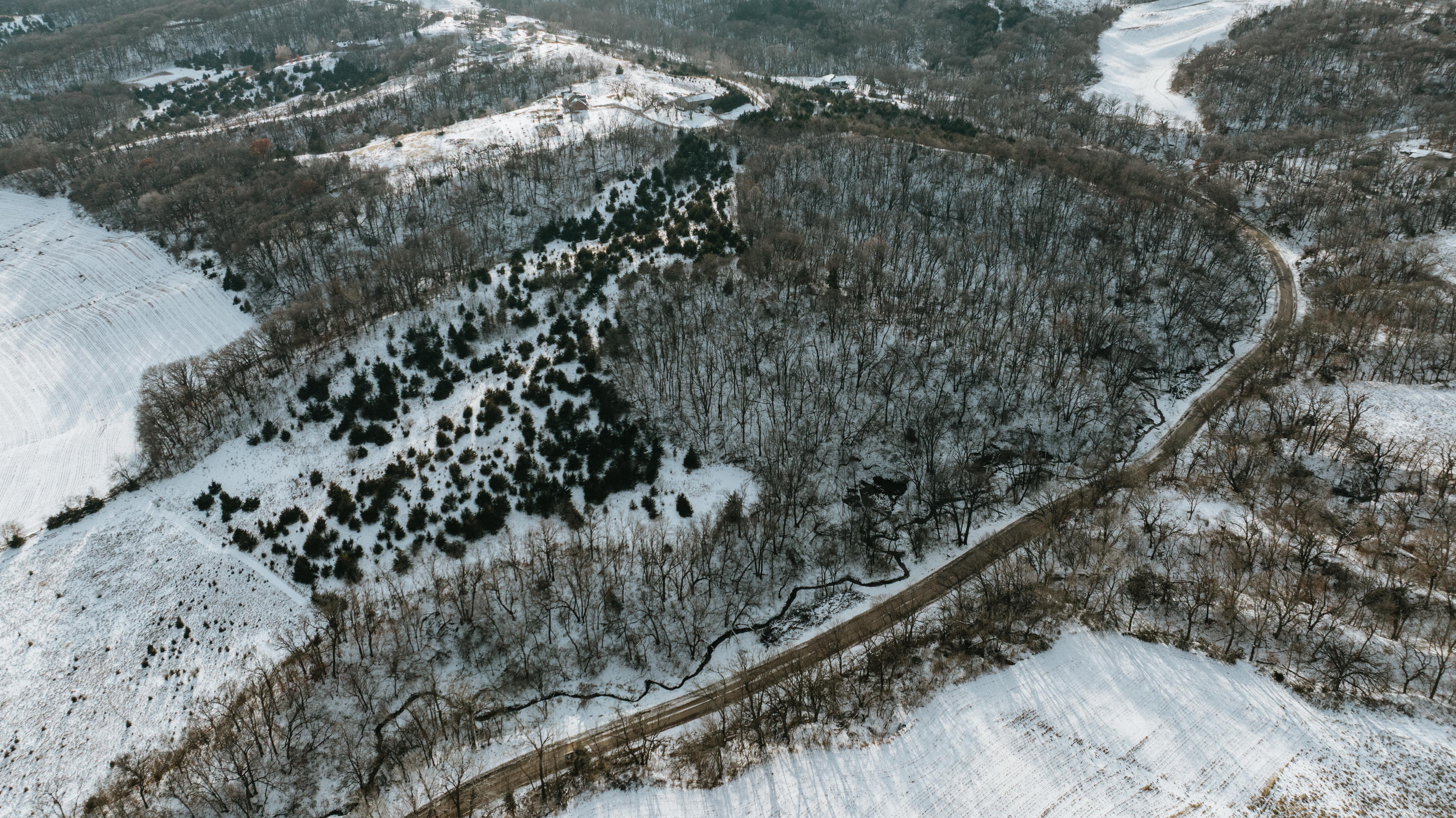 Blair, NE 68008 - image 8