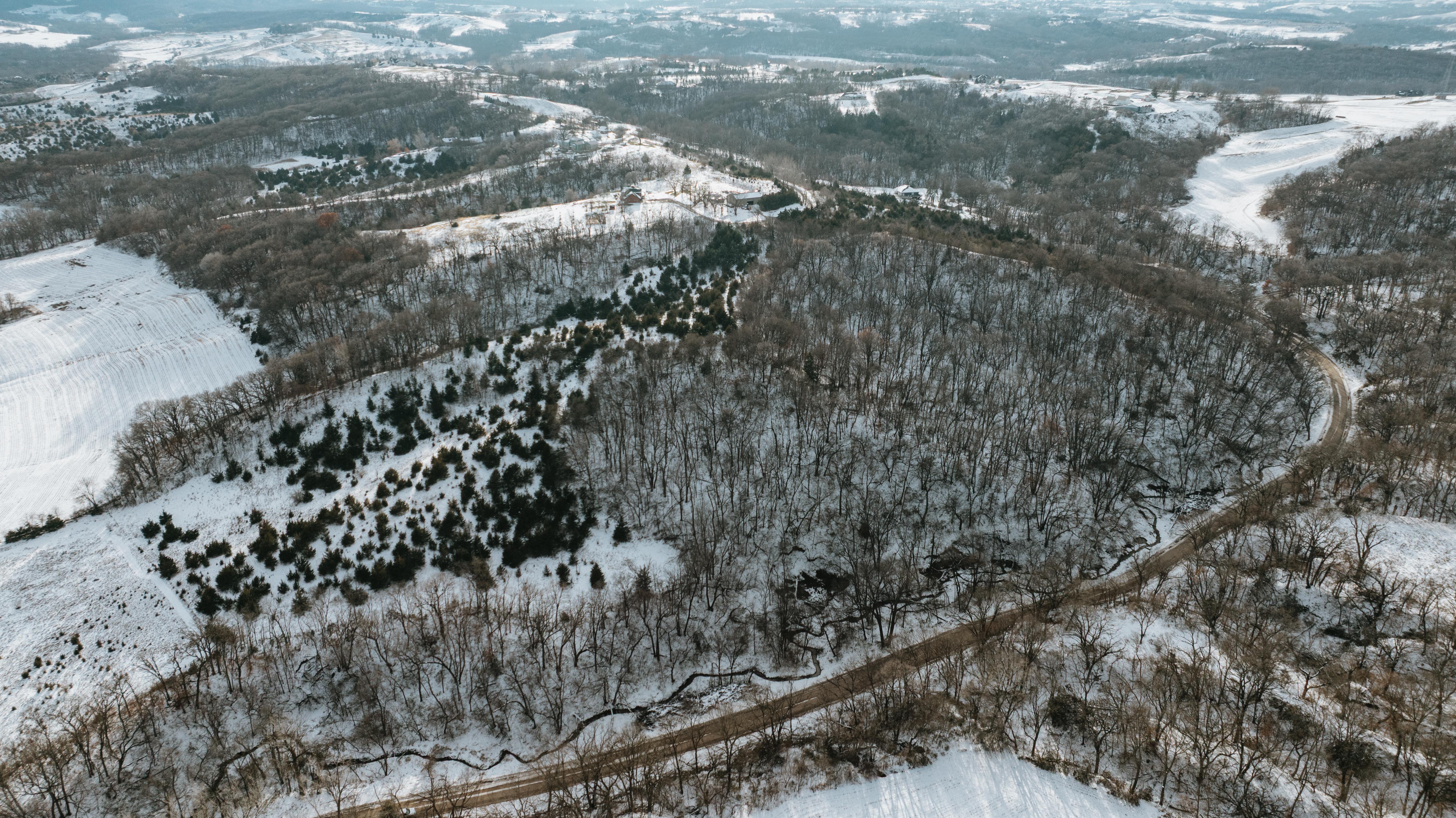 Blair, NE 68008 - image 7