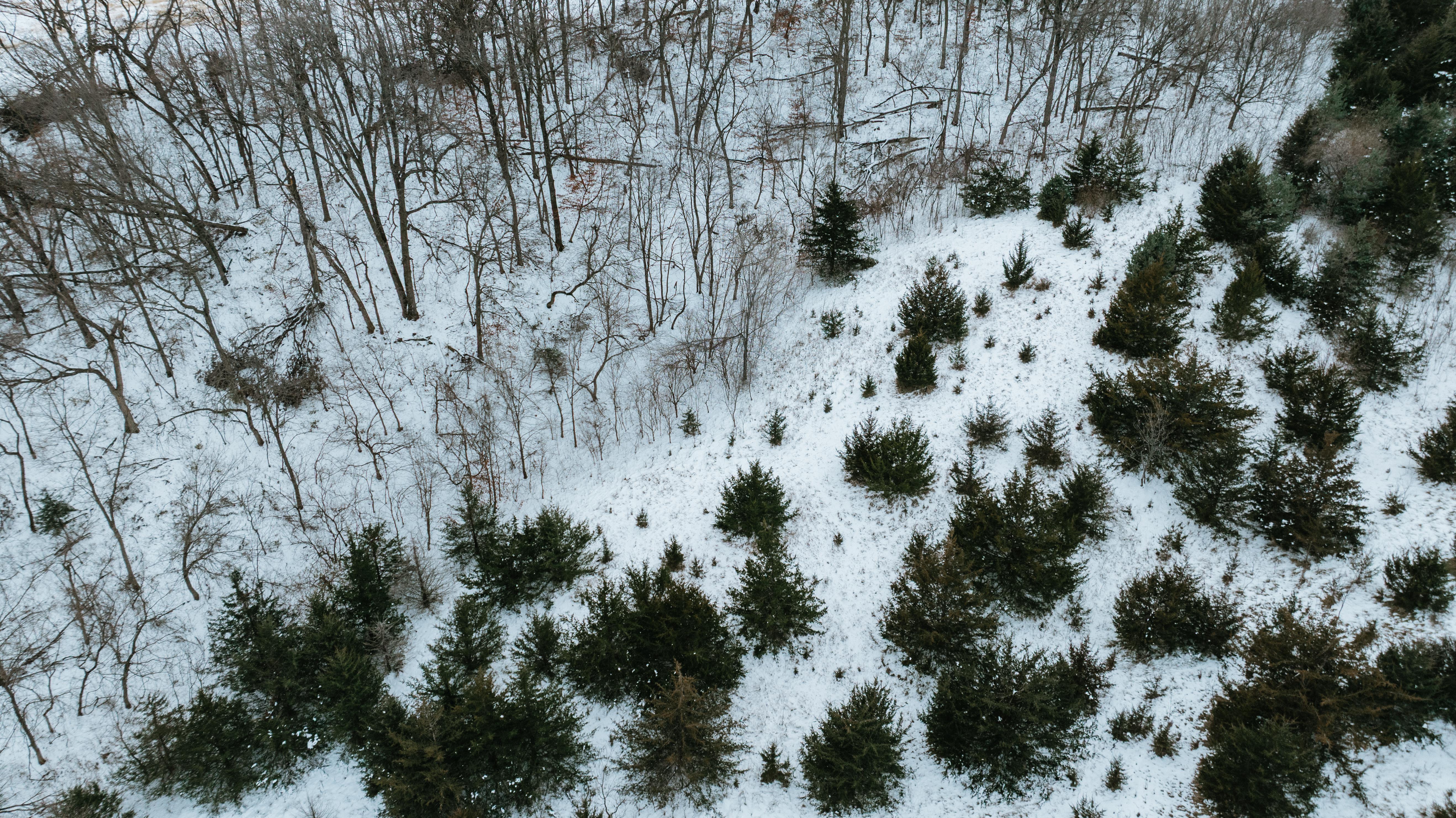 Blair, NE 68008 - image 32