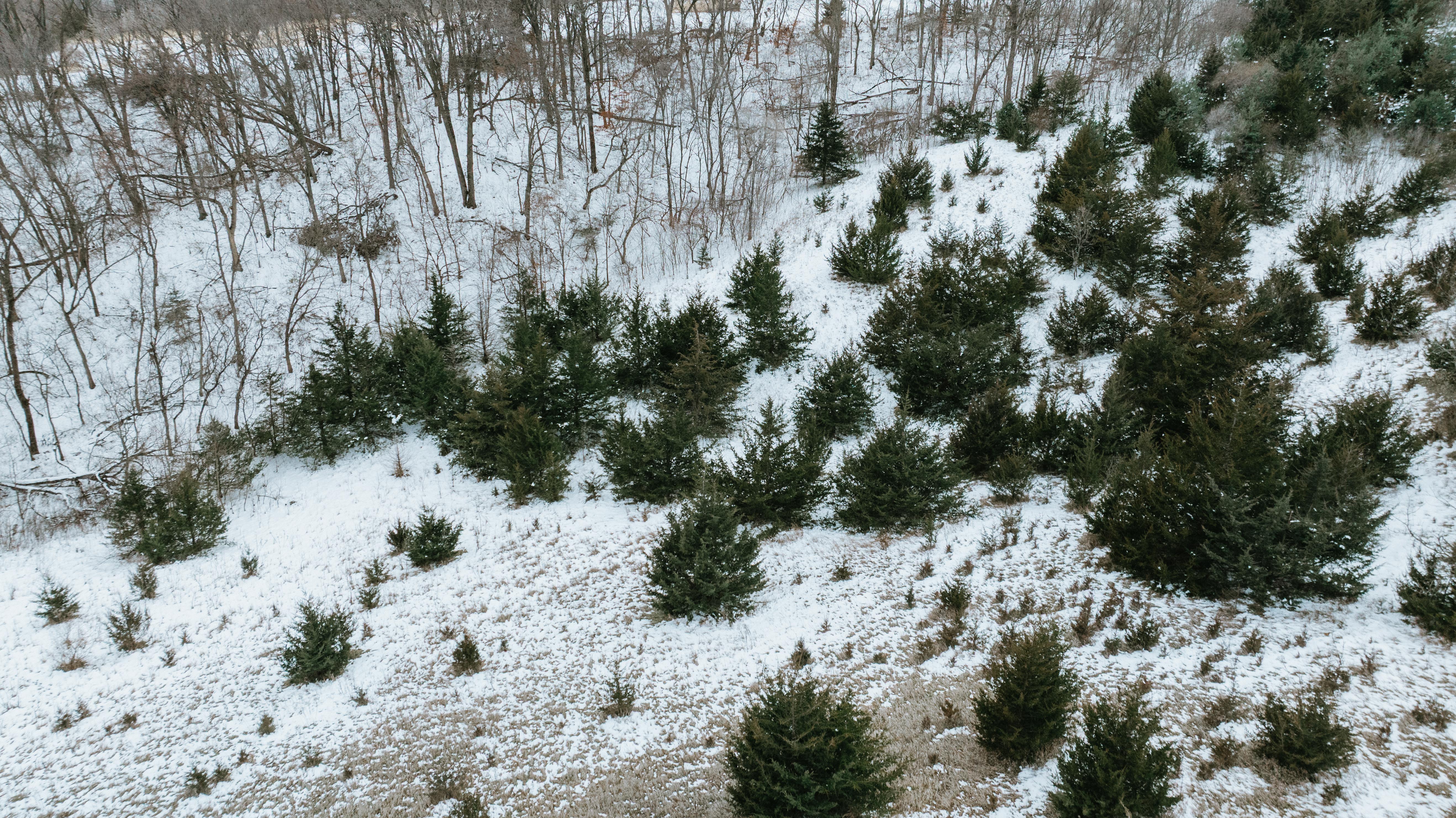 Blair, NE 68008 - image 31