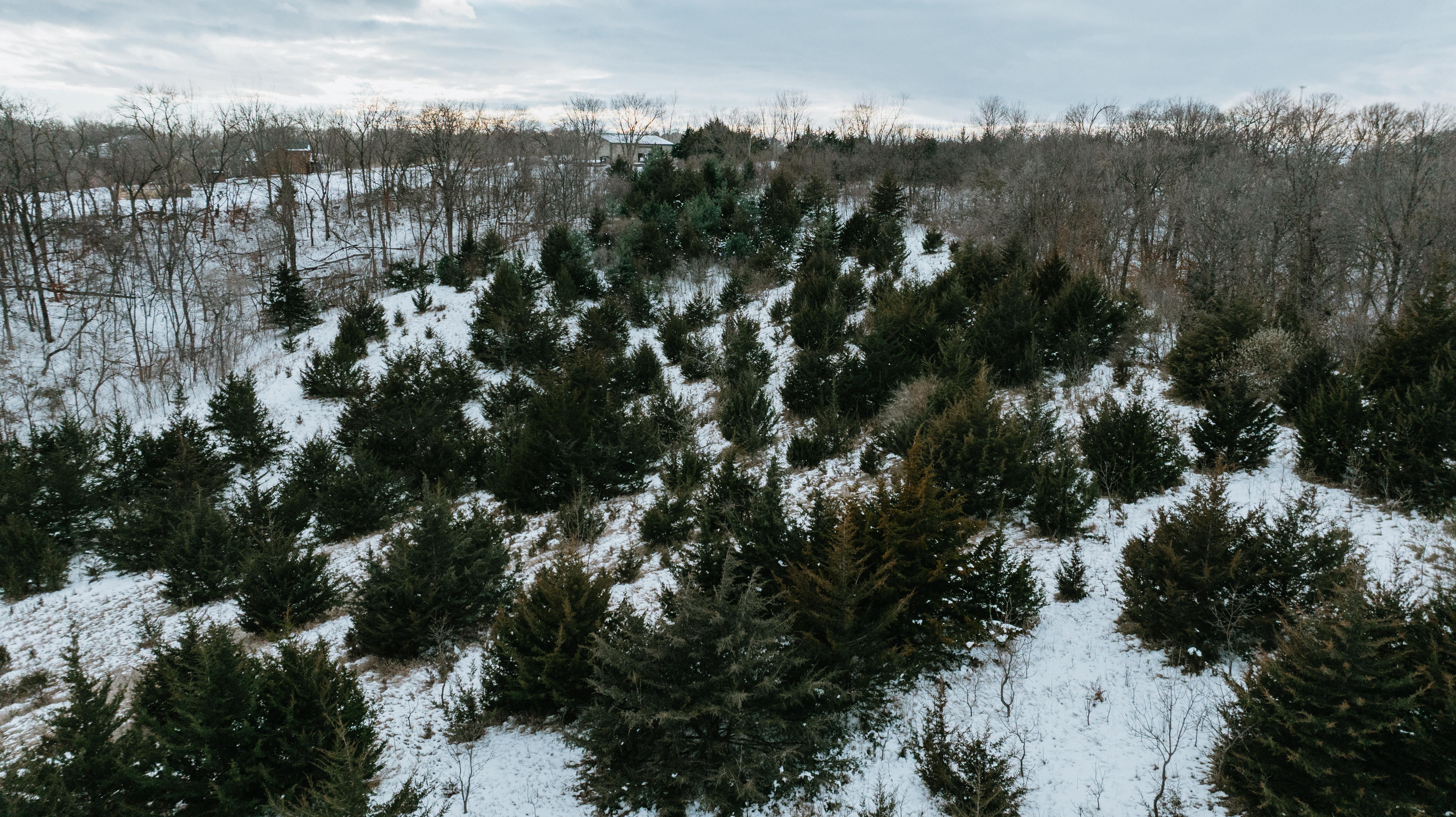 Blair, NE 68008 - image 30