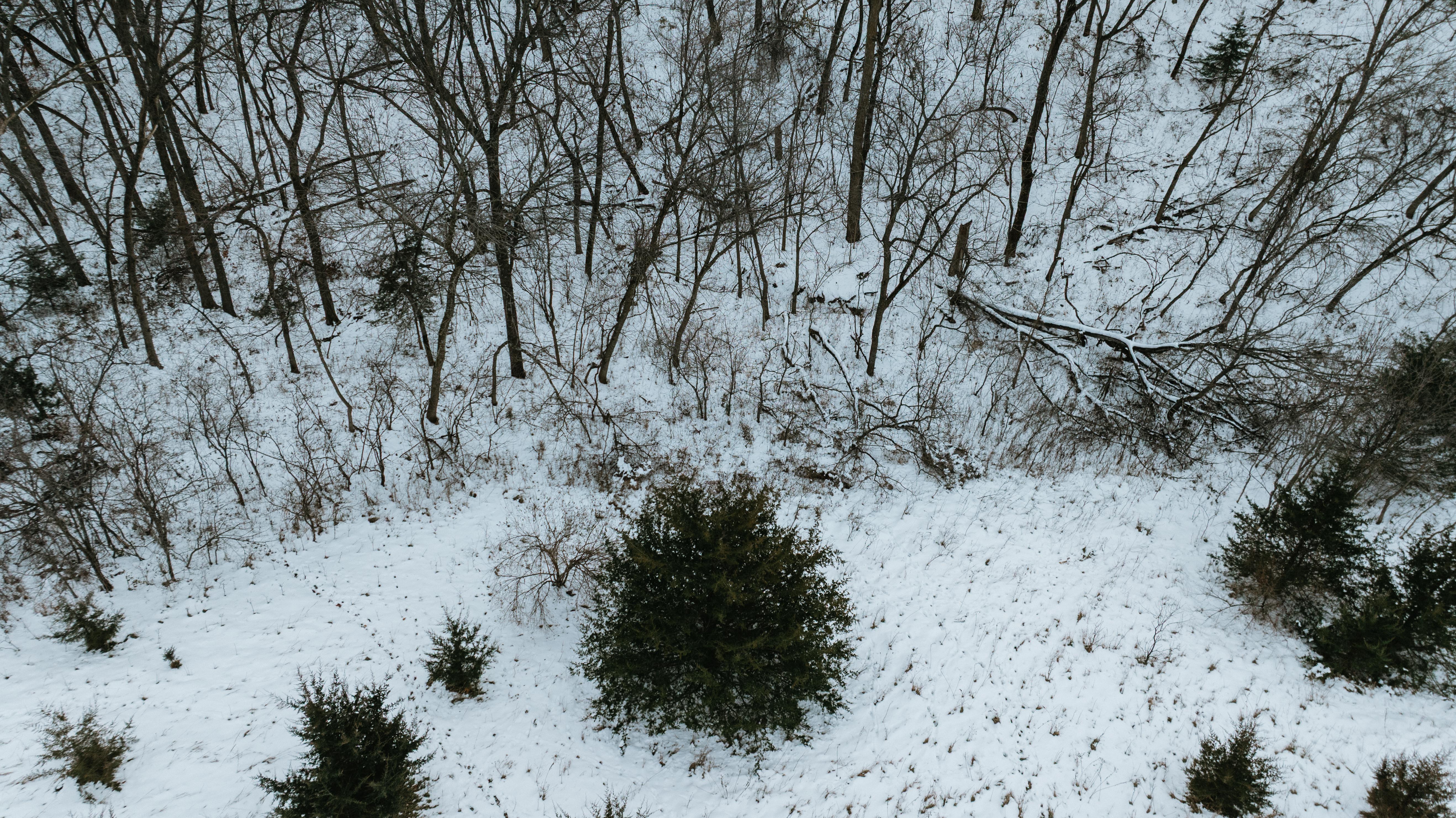 Blair, NE 68008 - image 29