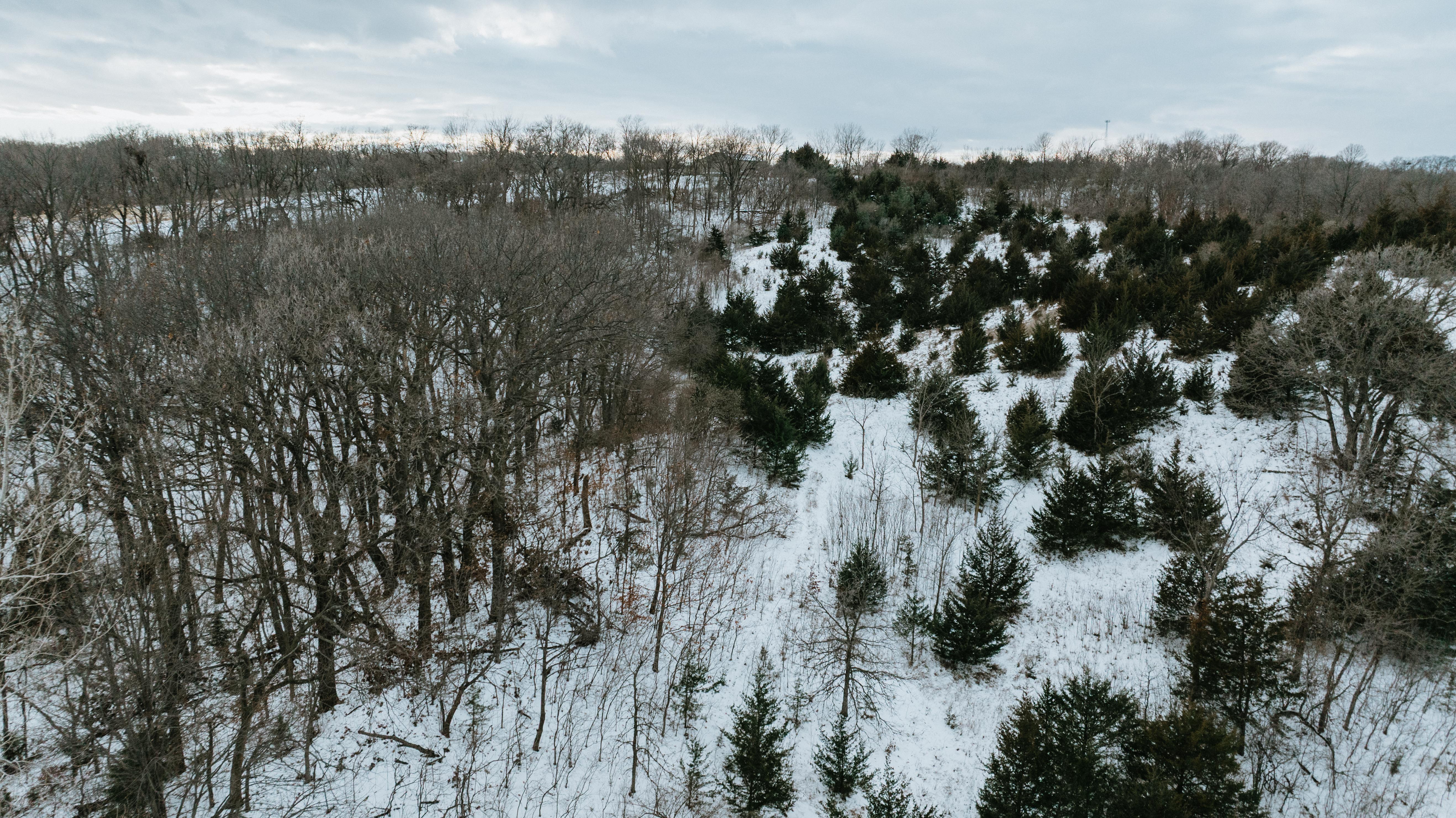 Blair, NE 68008 - image 27