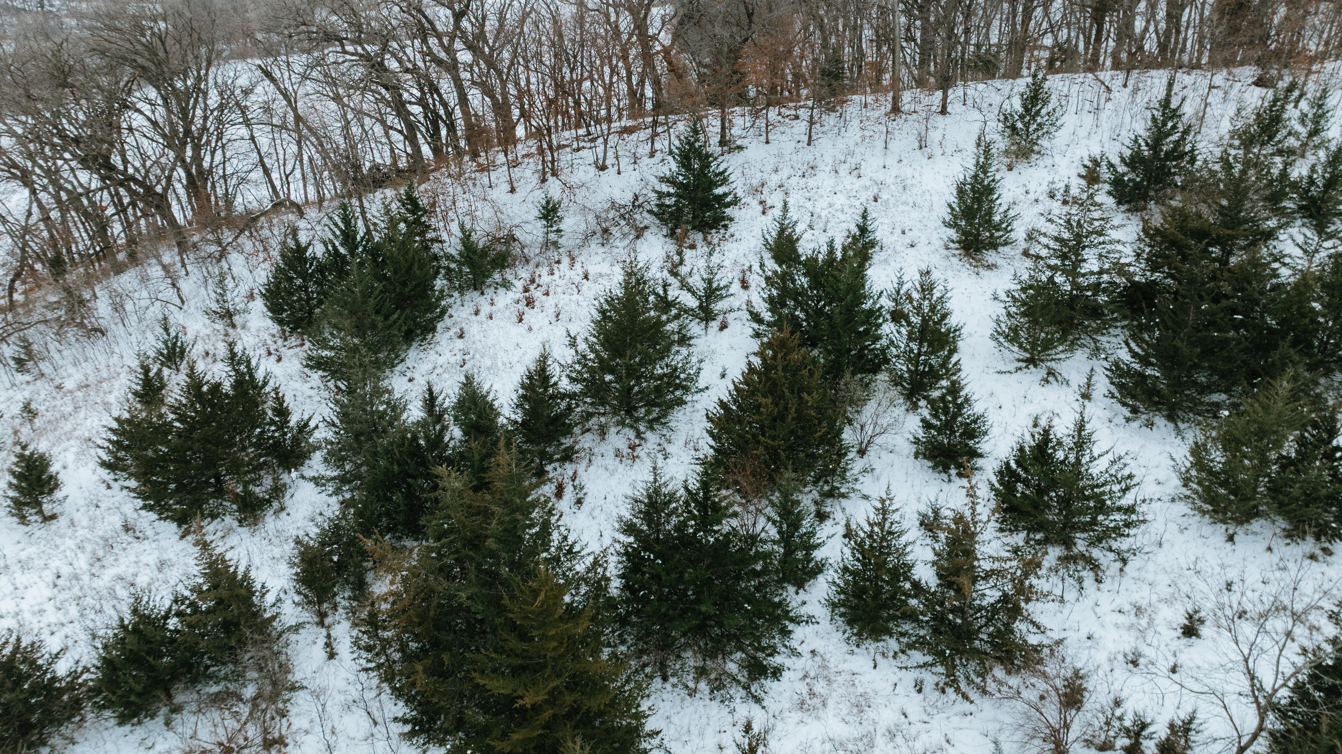 Blair, NE 68008 - image 26