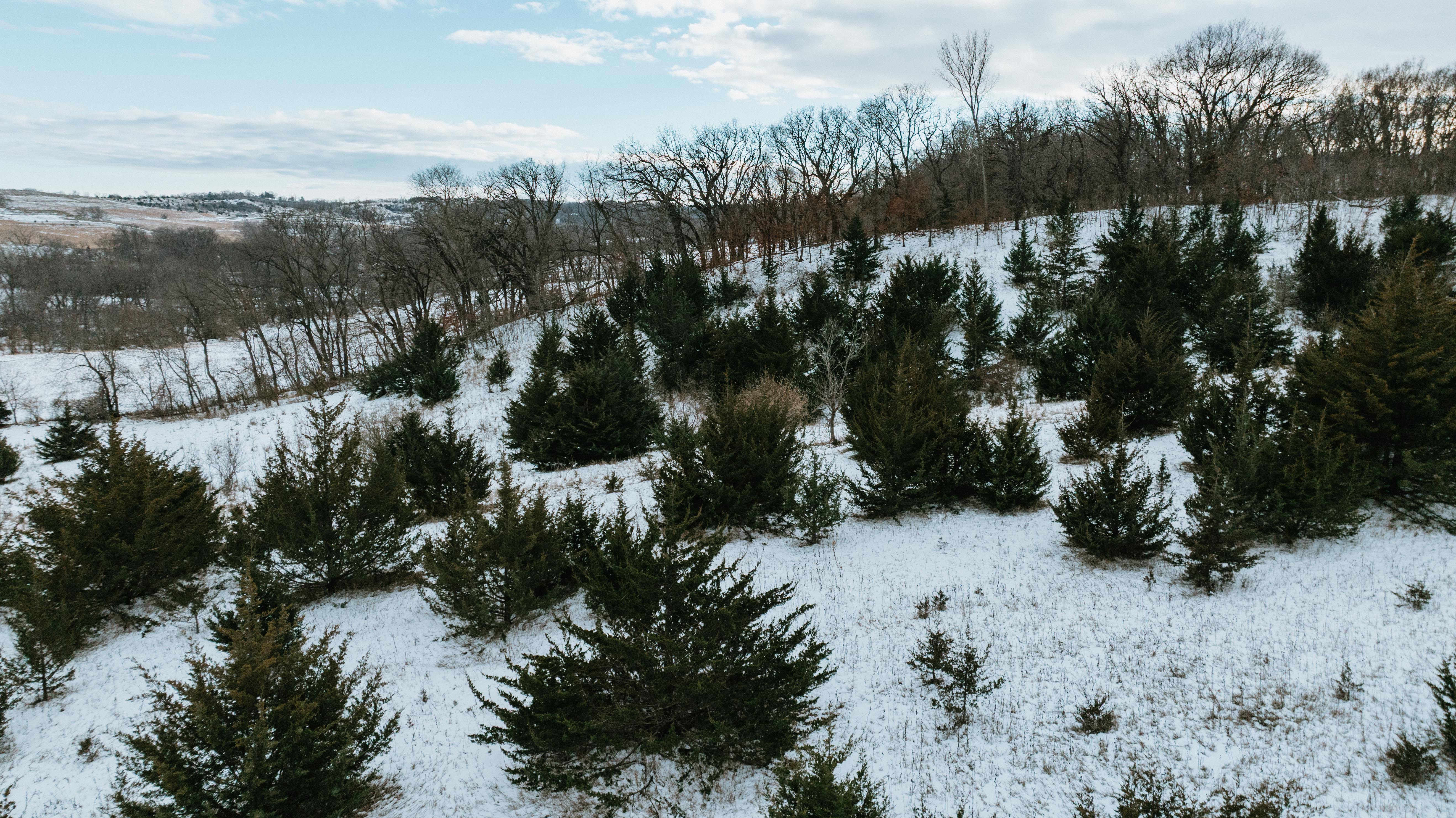 Blair, NE 68008 - image 25