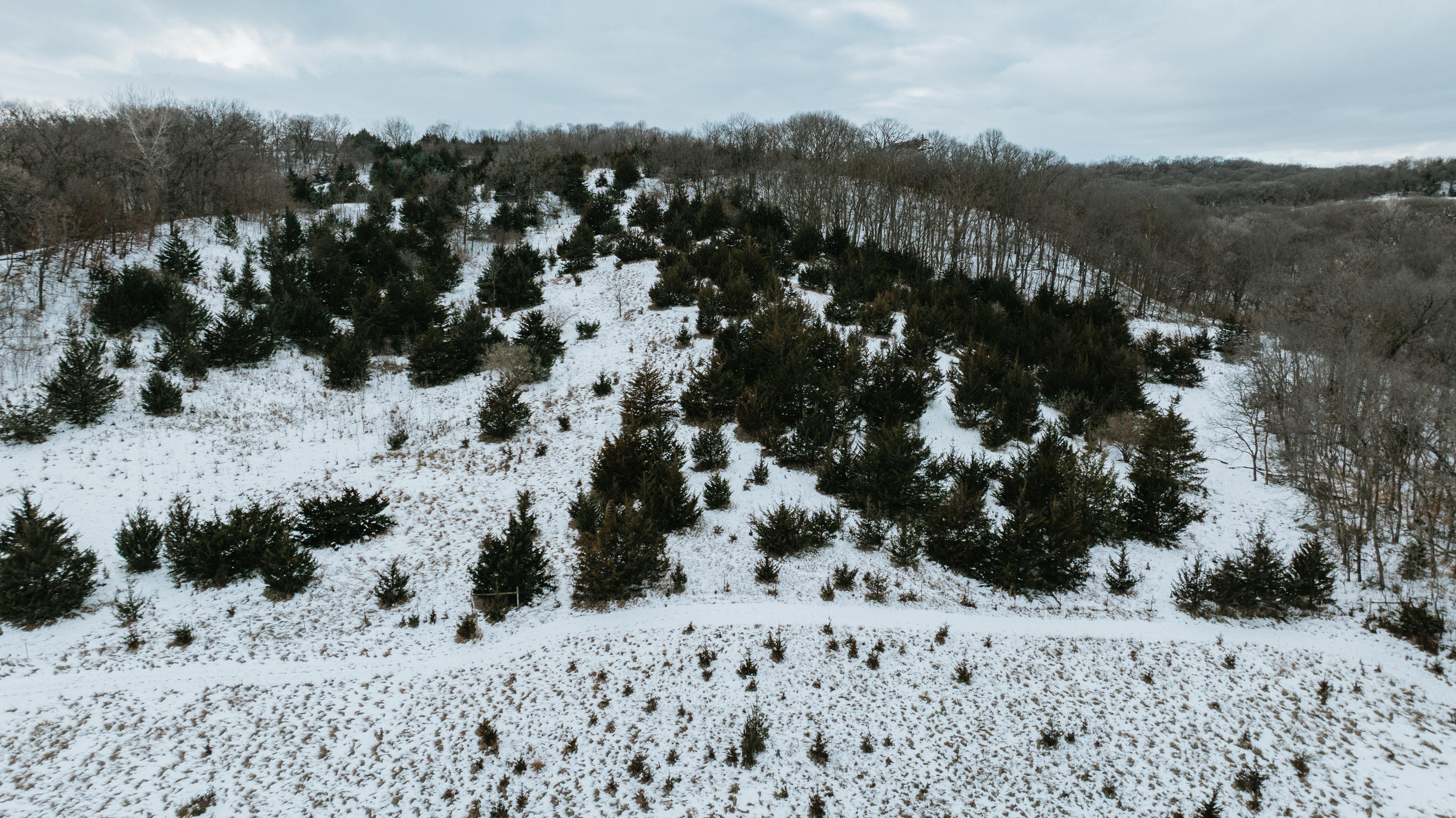 Blair, NE 68008 - image 24