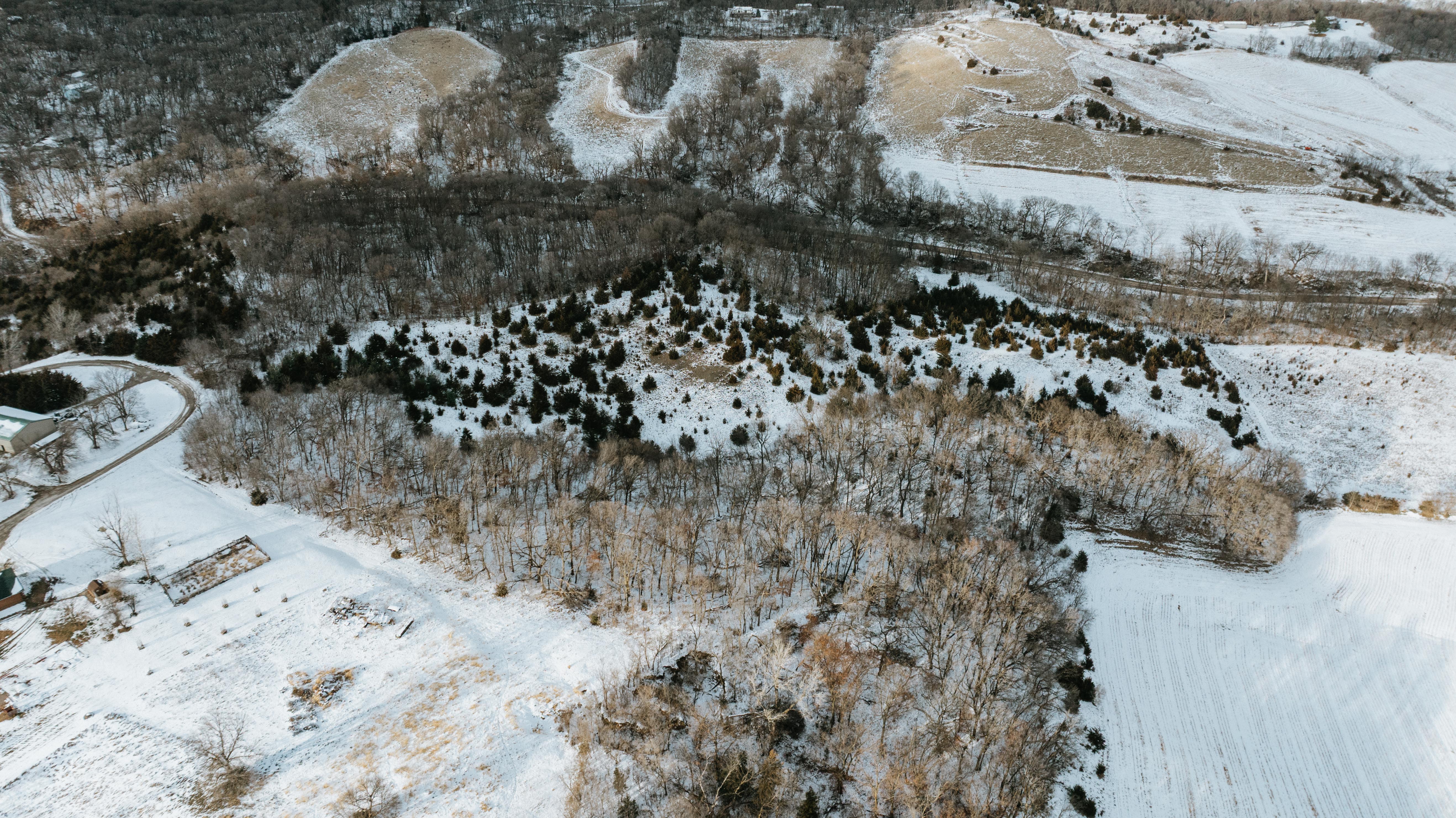 Blair, NE 68008 - image 16