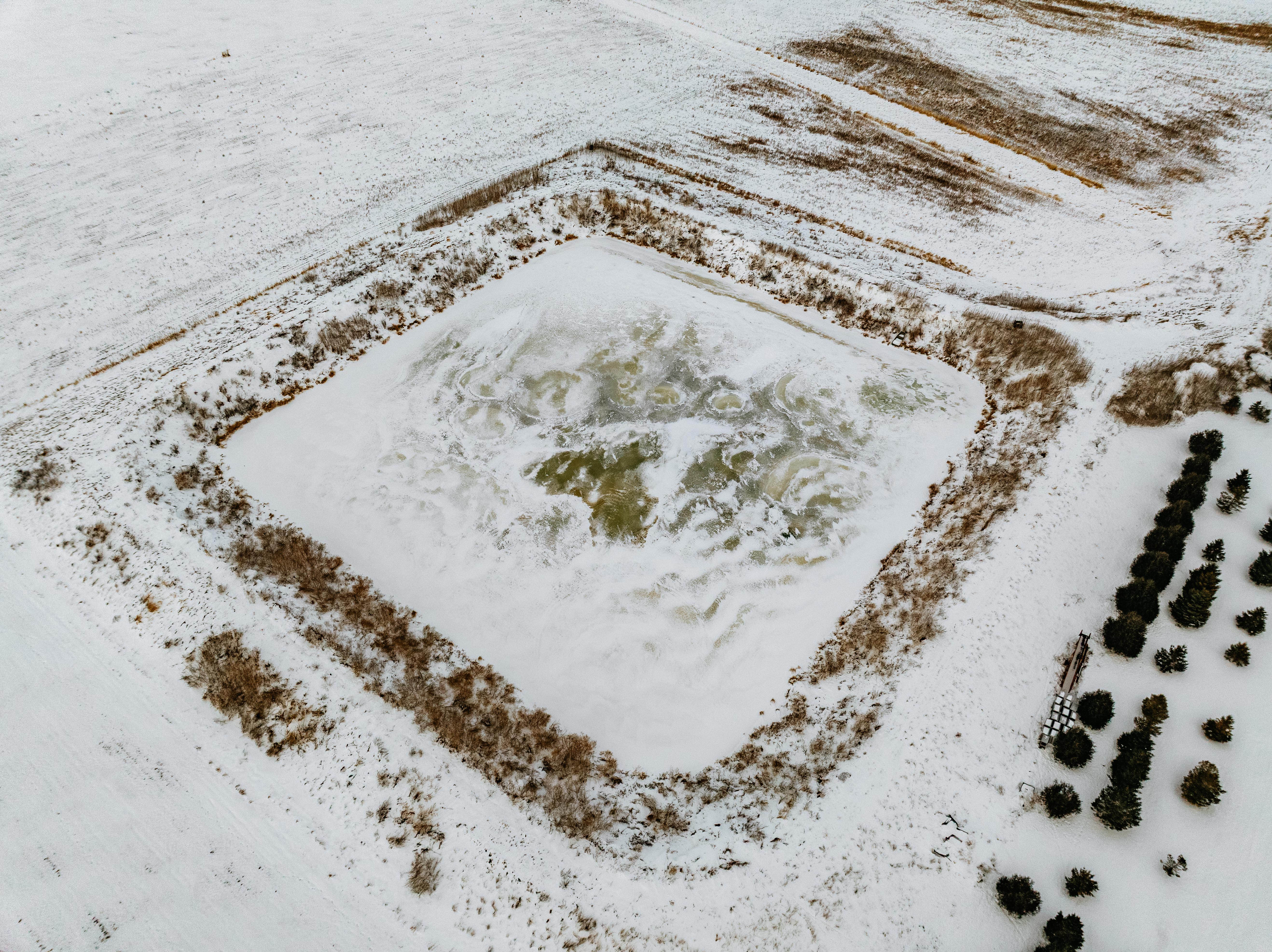 13395 Bell Ave - image 11