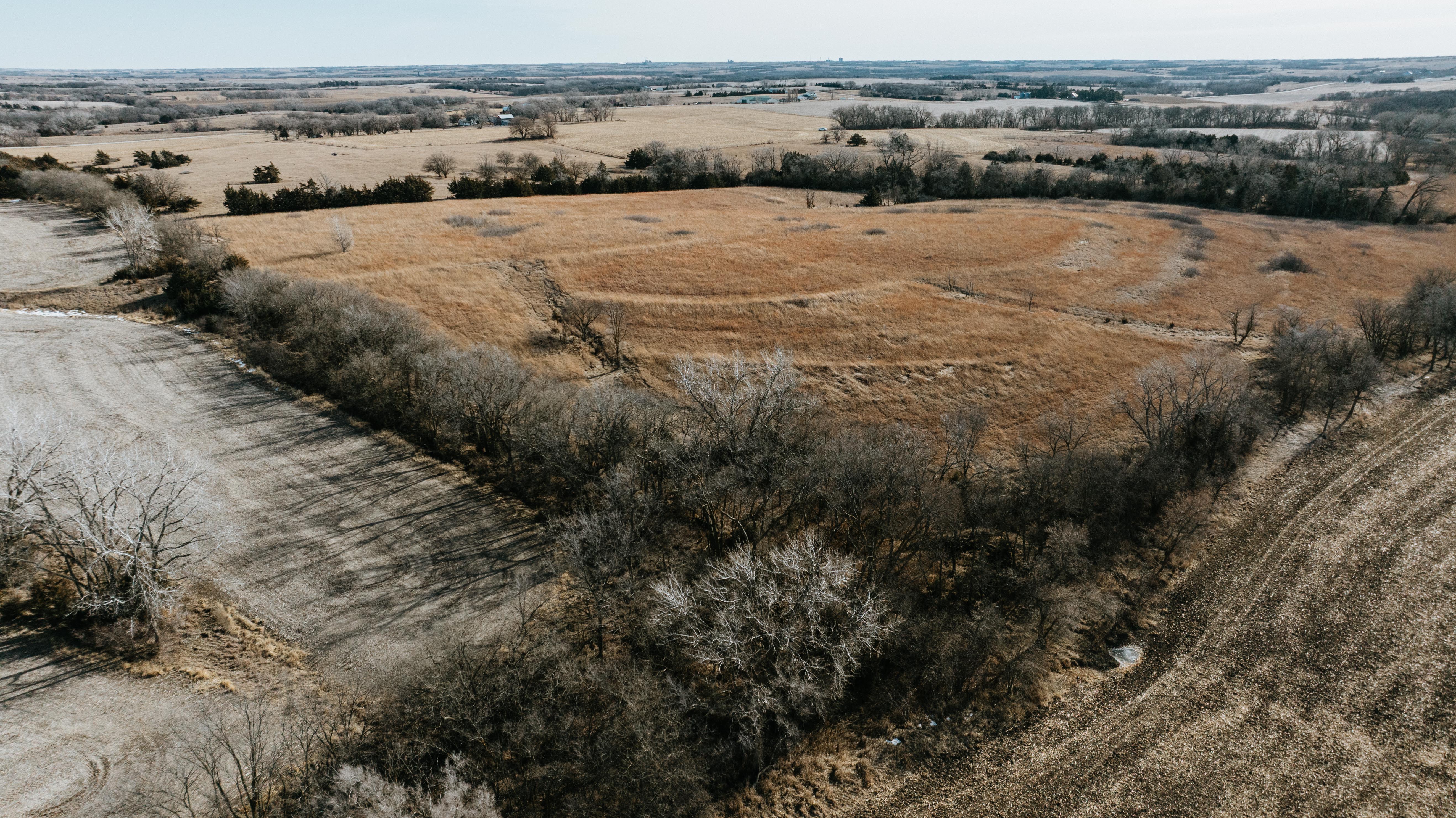 19666 SW 114th ST - image 24