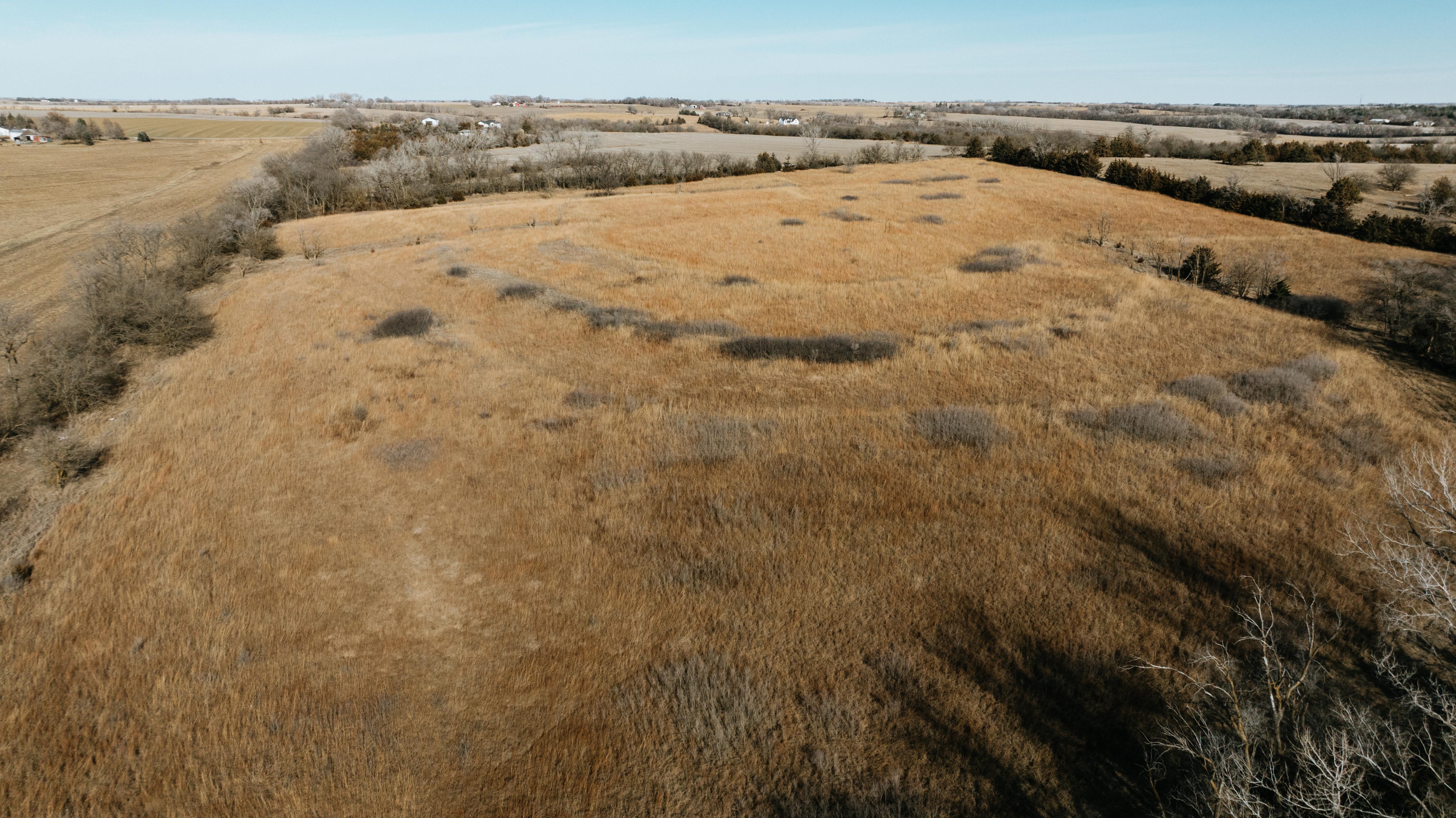 19666 SW 114th ST - image 21