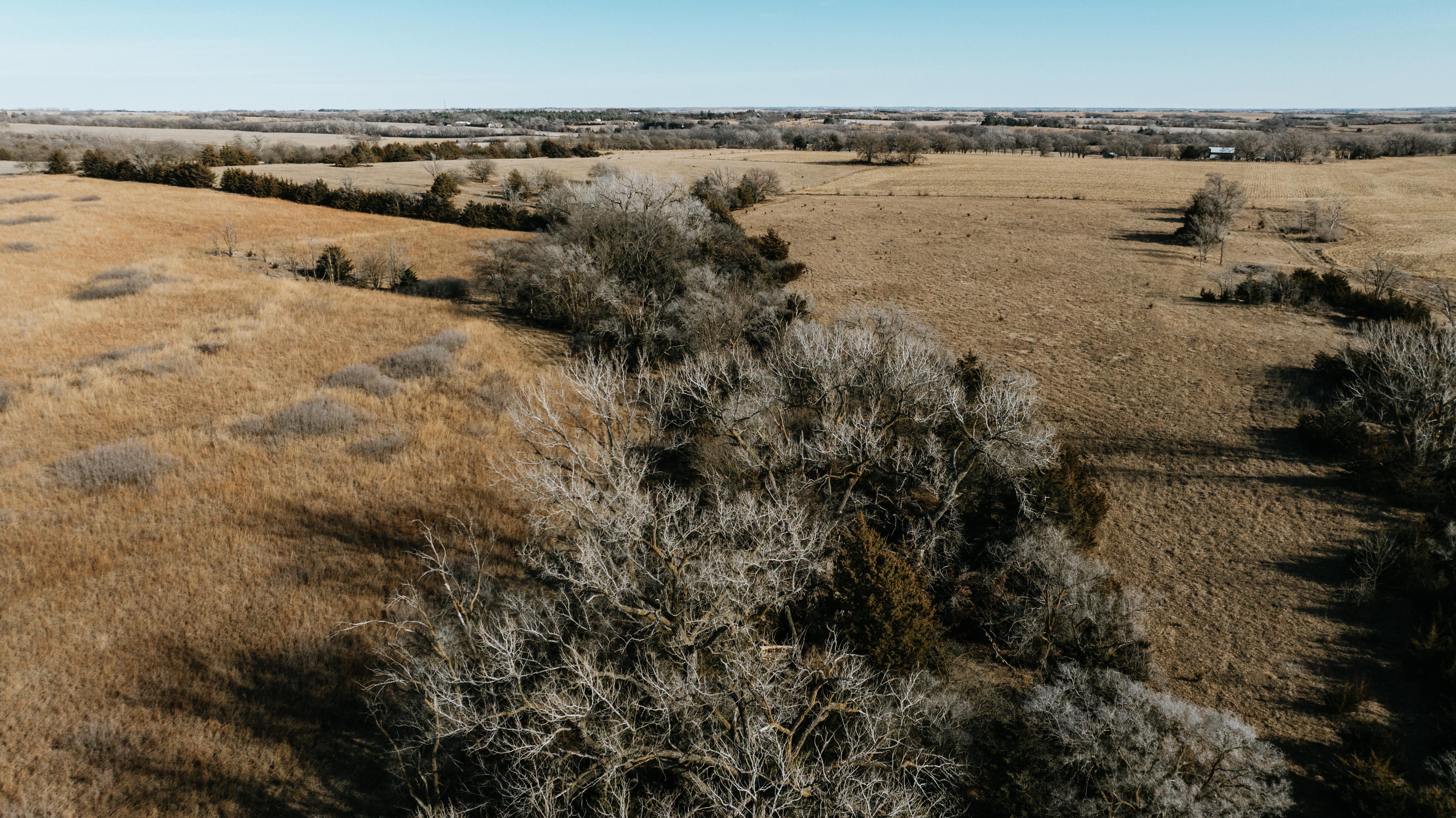 19666 SW 114th ST - image 20