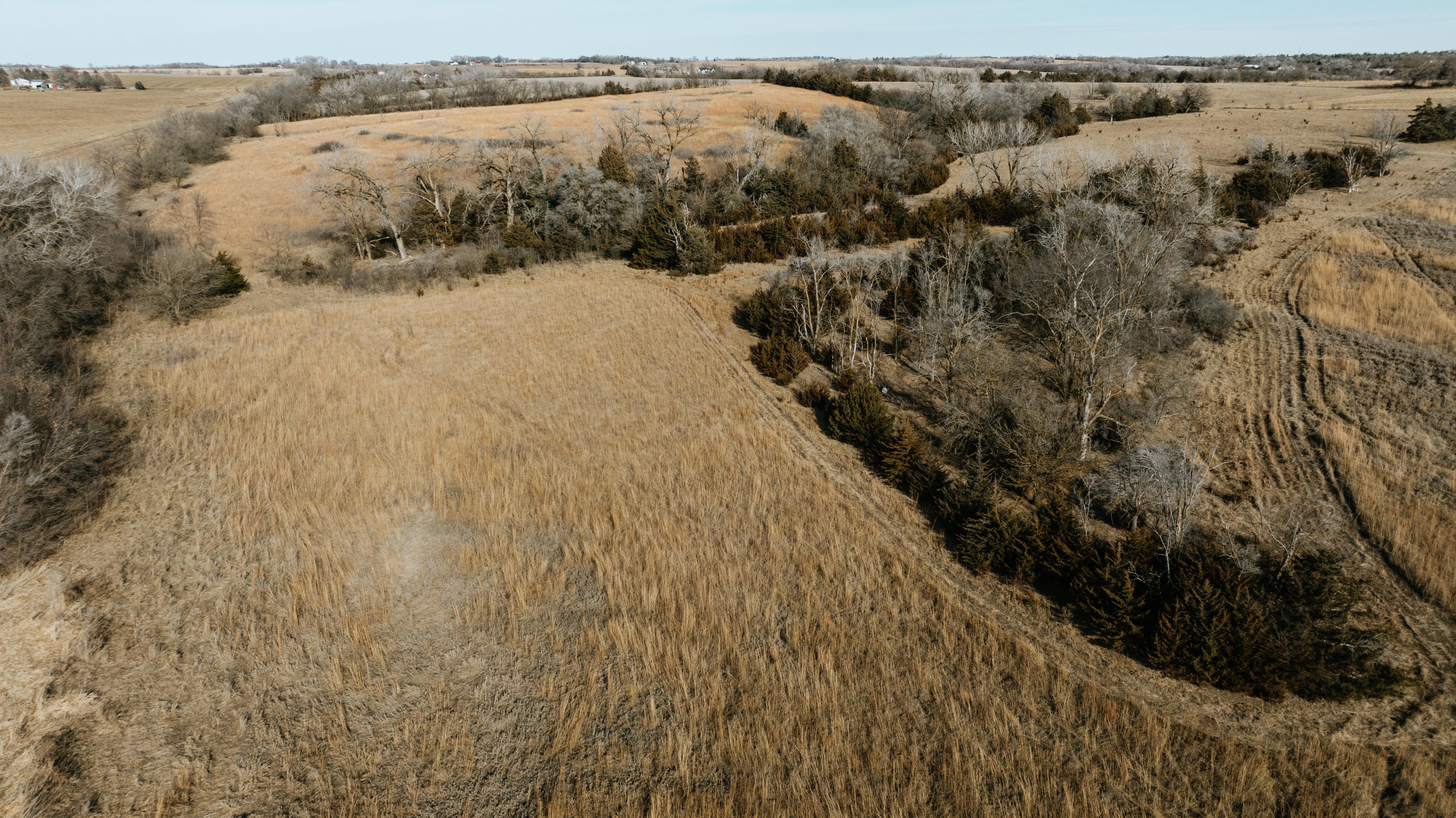 19666 SW 114th ST - image 17