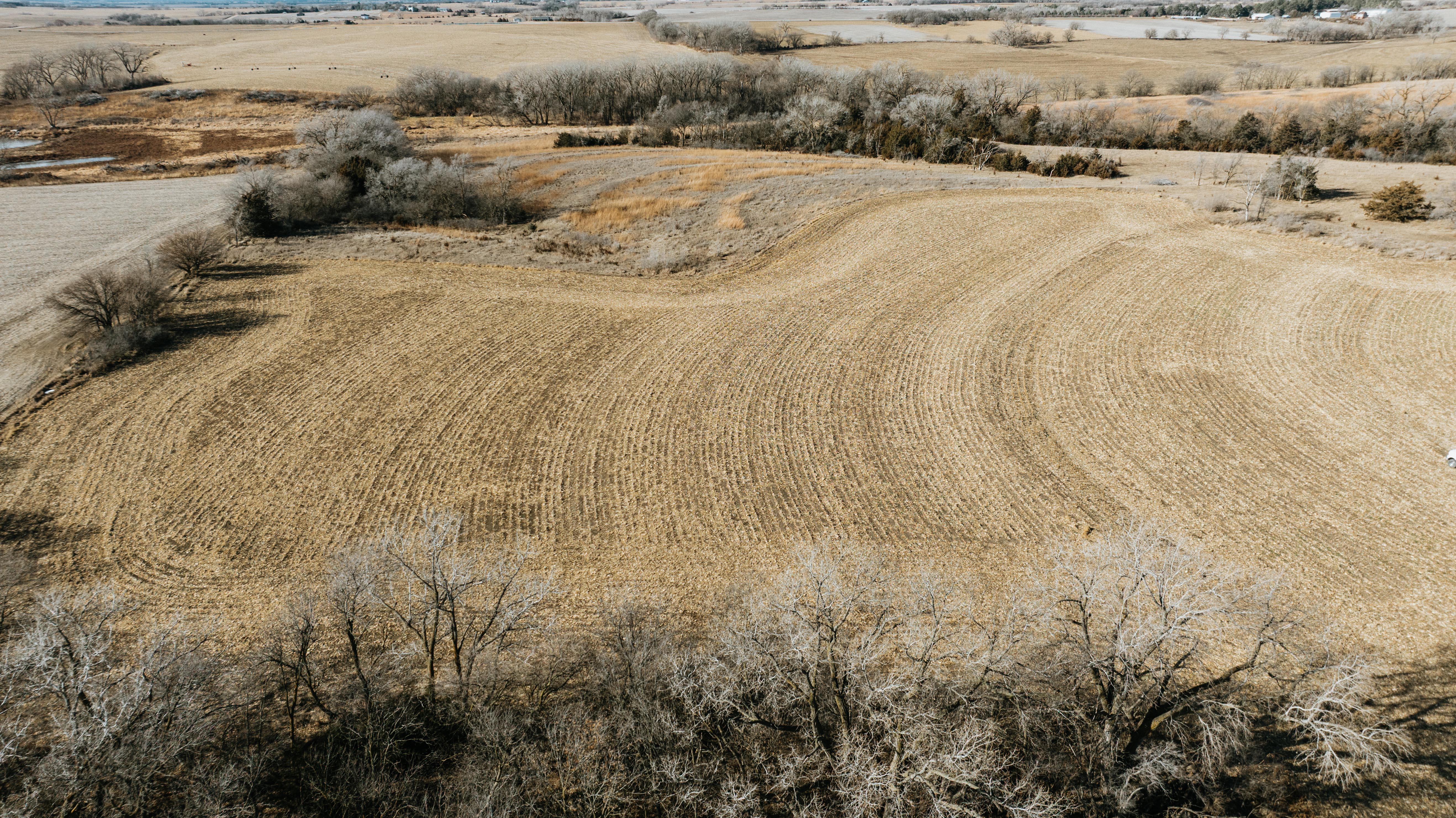 19666 SW 114th ST - image 15