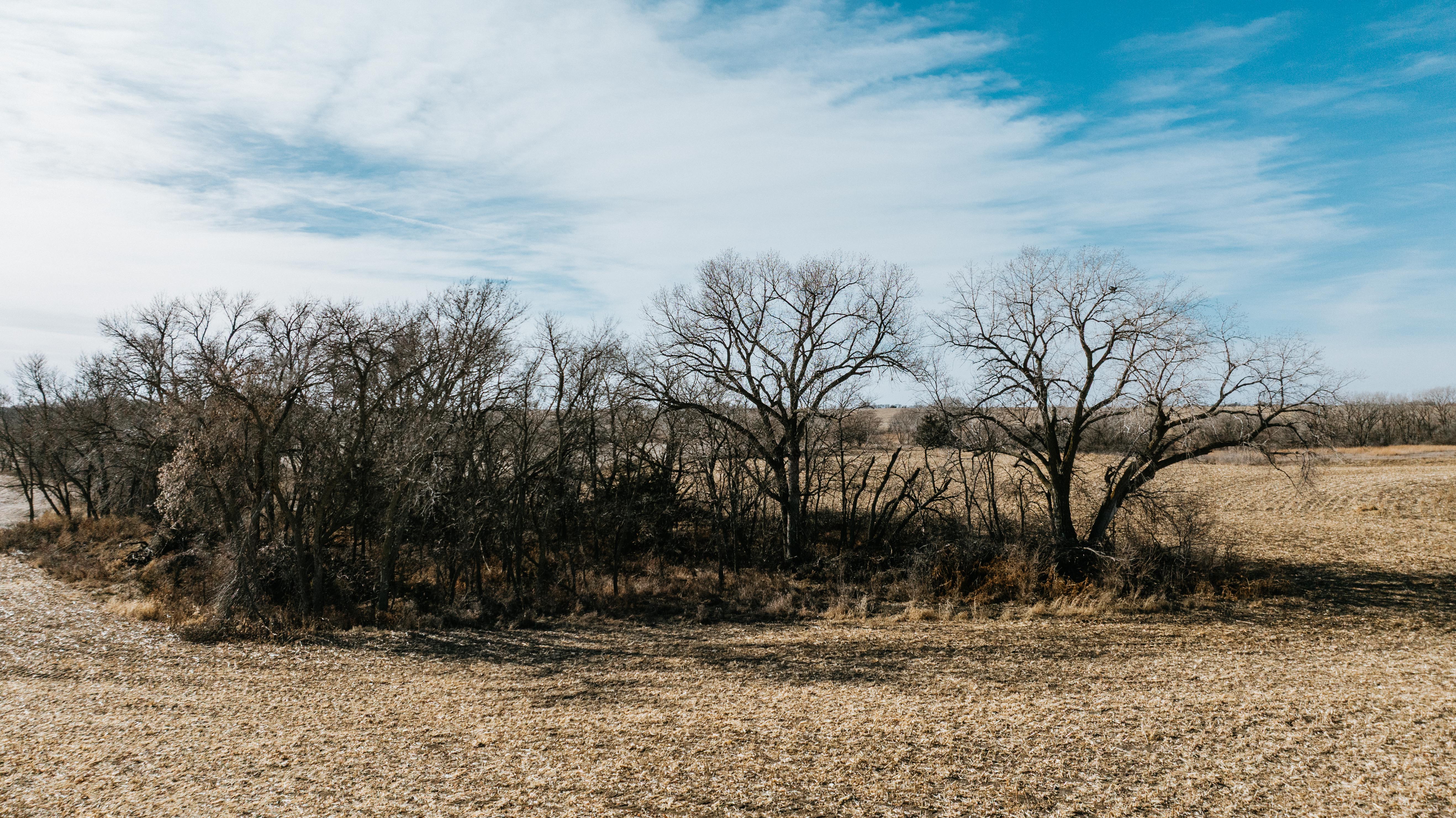 19666 SW 114th ST - image 14