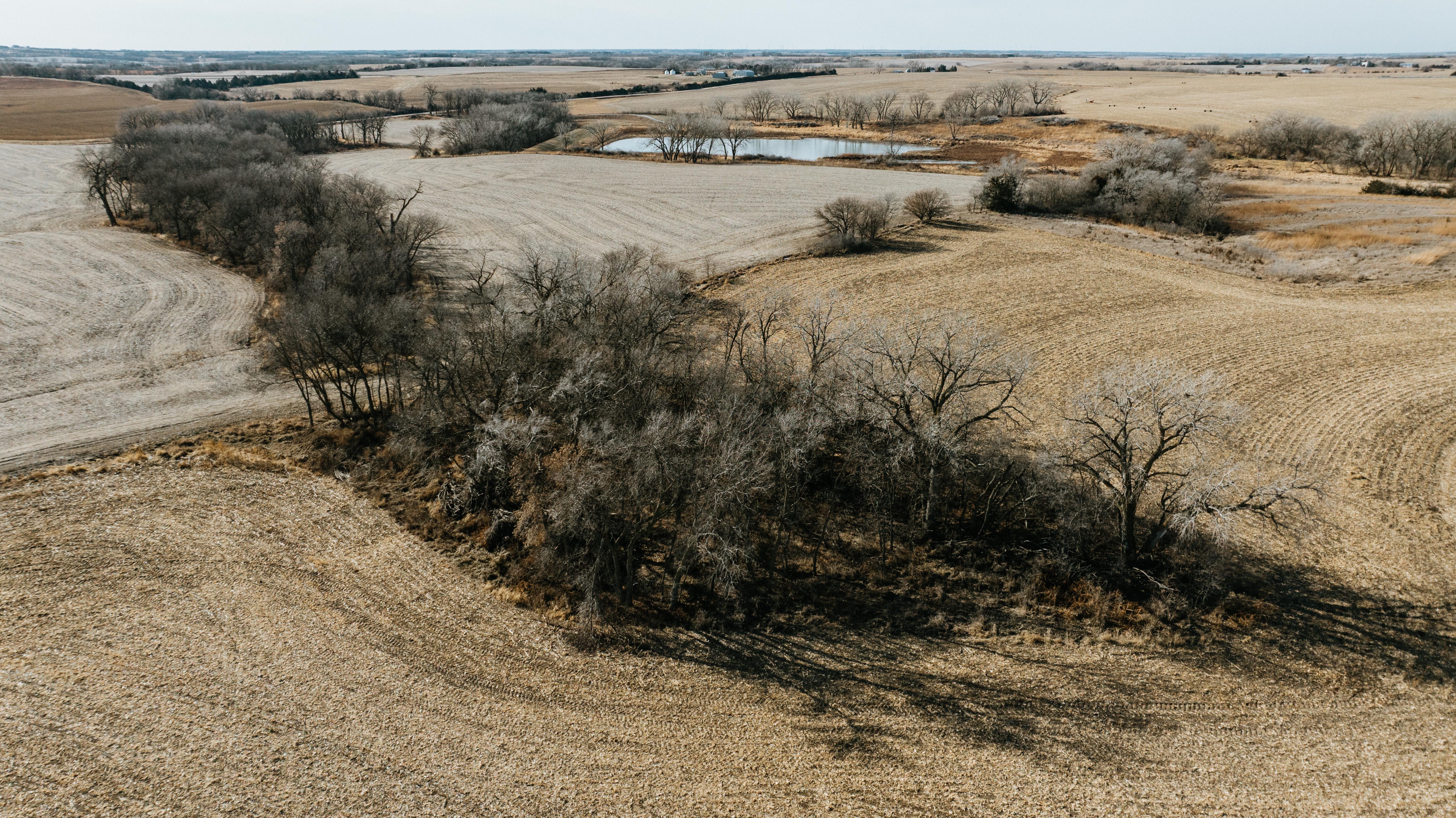 19666 SW 114th ST - image 13