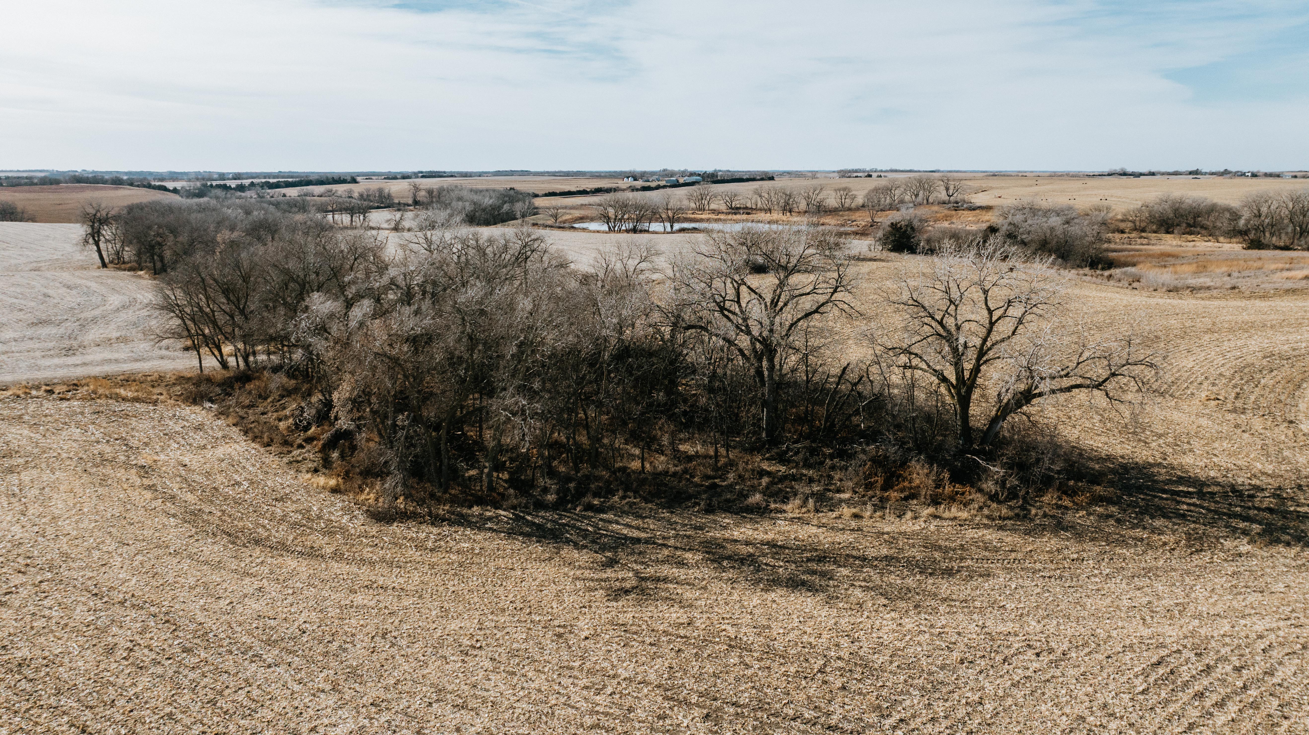 19666 SW 114th ST - image 12