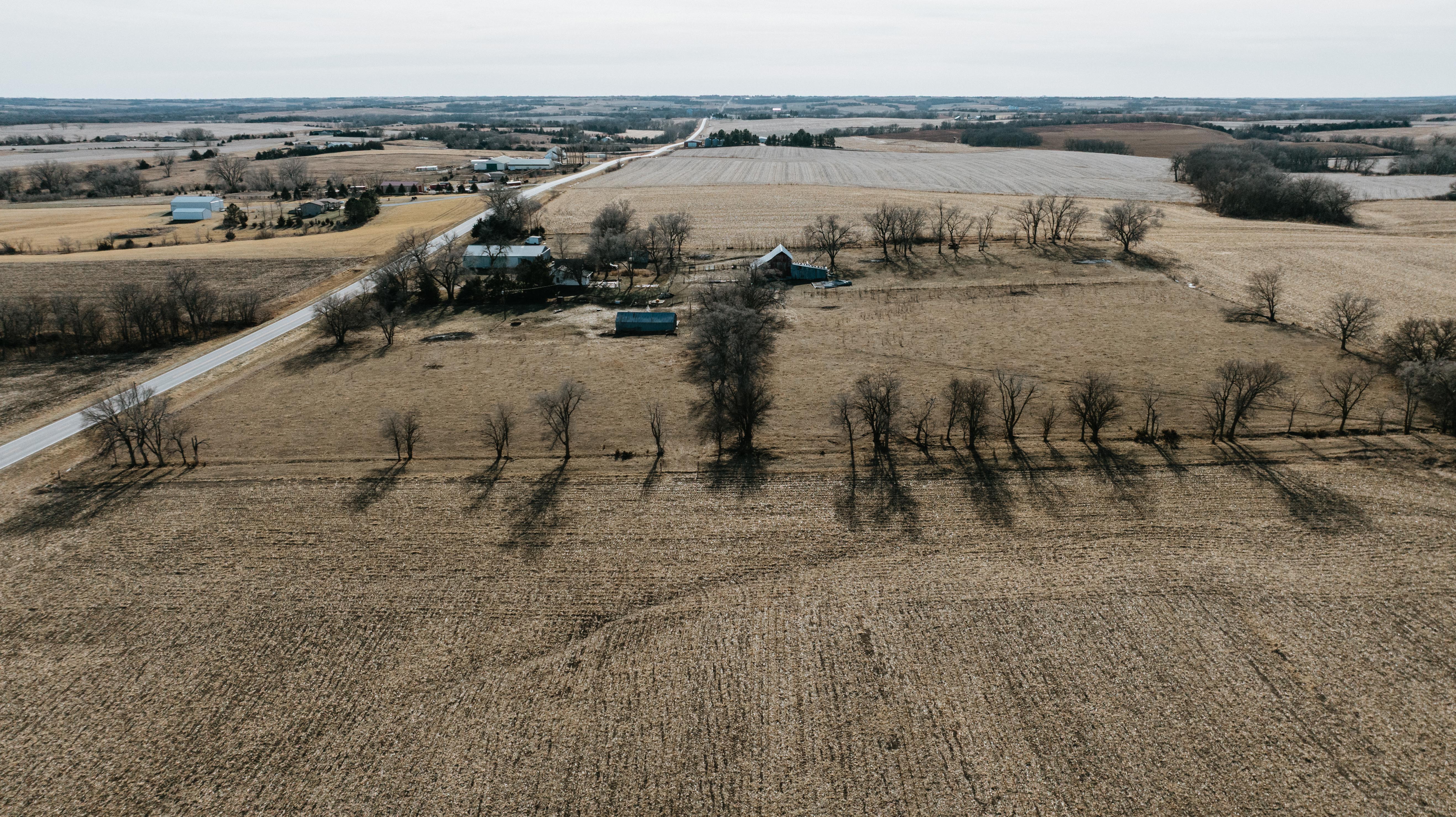 19666 SW 114th ST - image 29