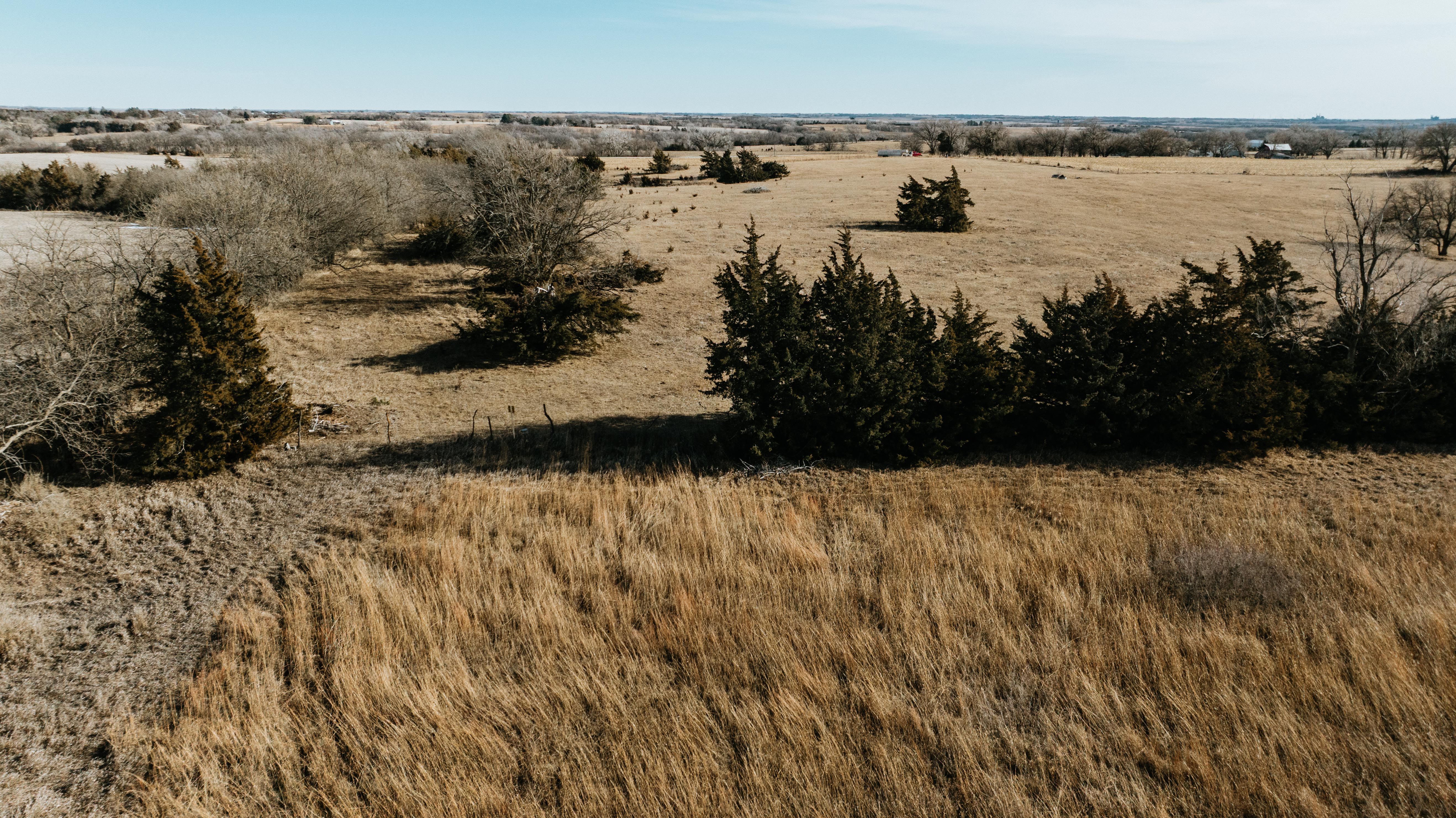 19666 SW 114th ST - image 26