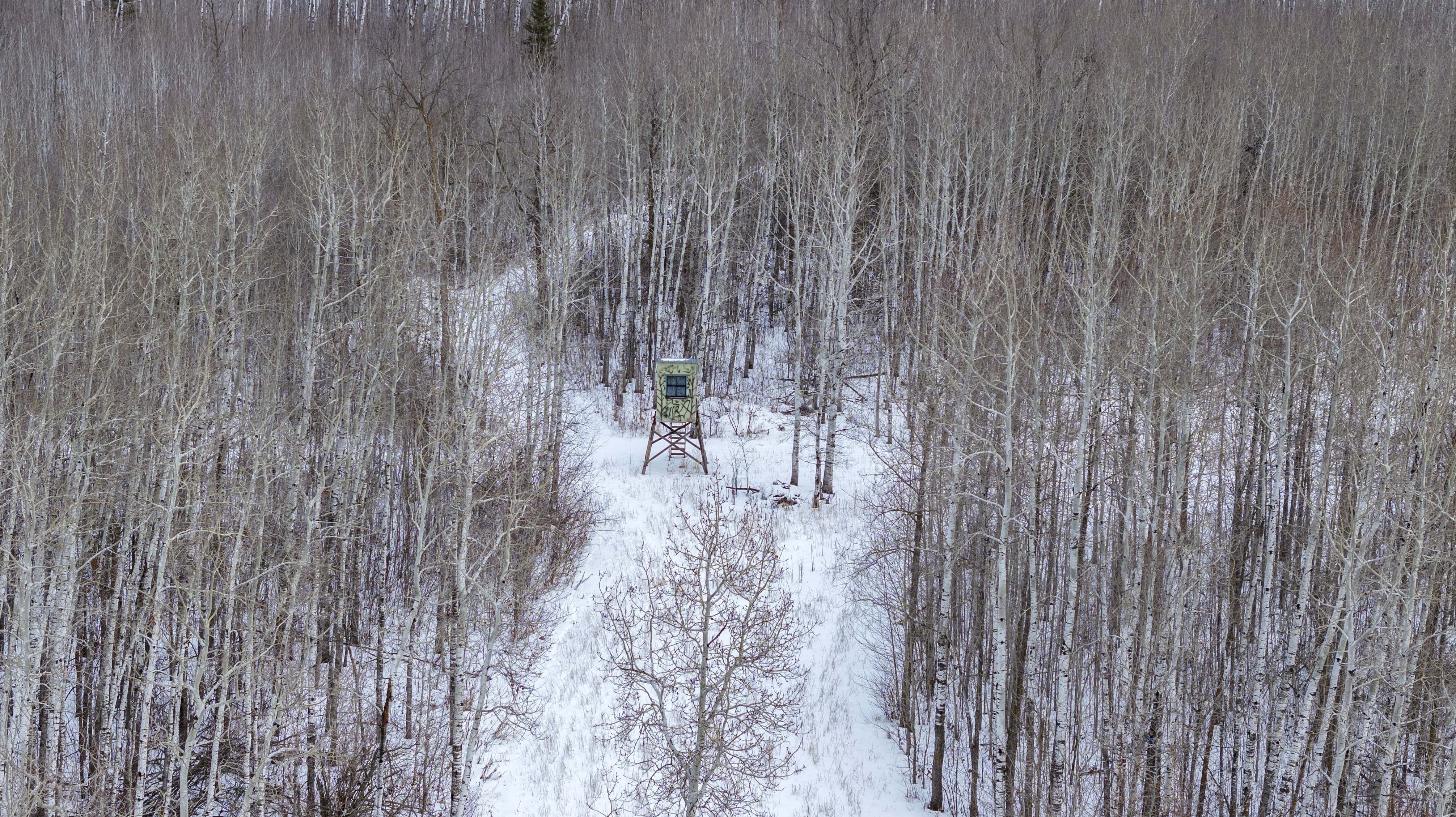 27262 151st Avenue - image 43